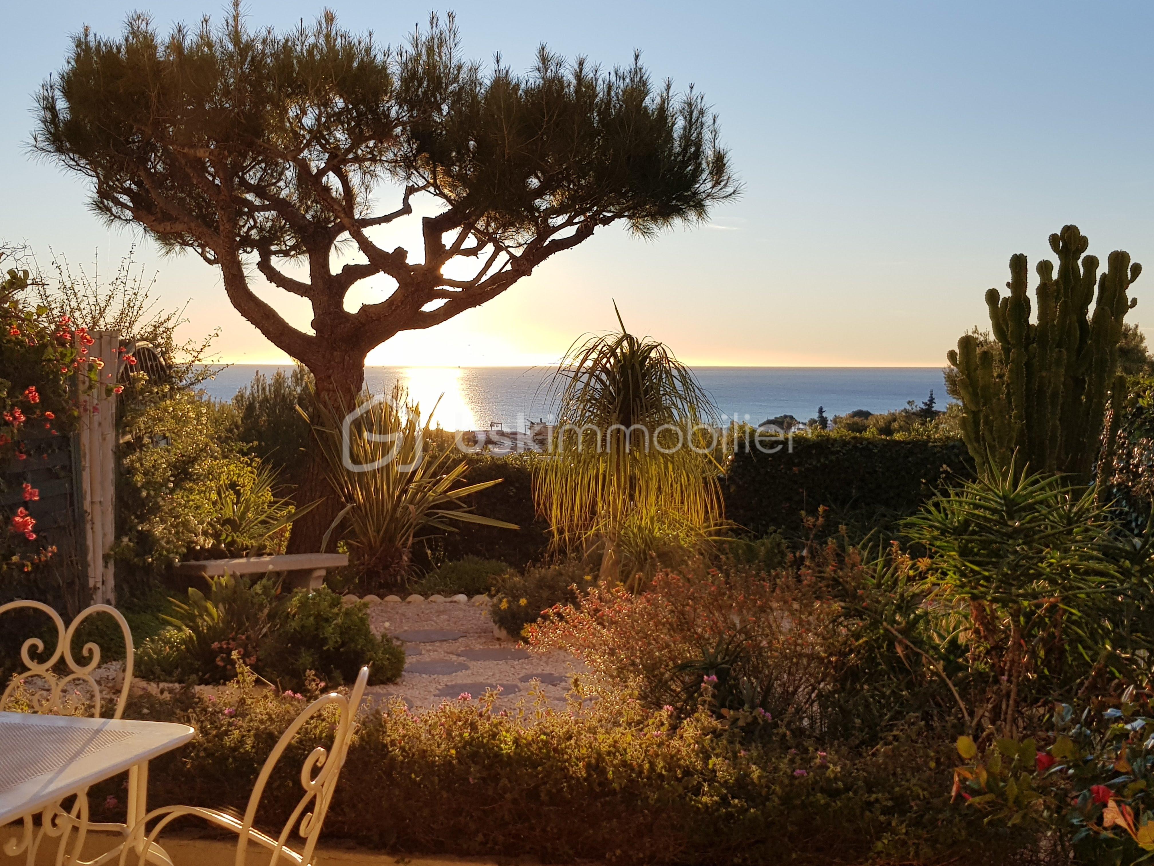 jardin soleil.jpg