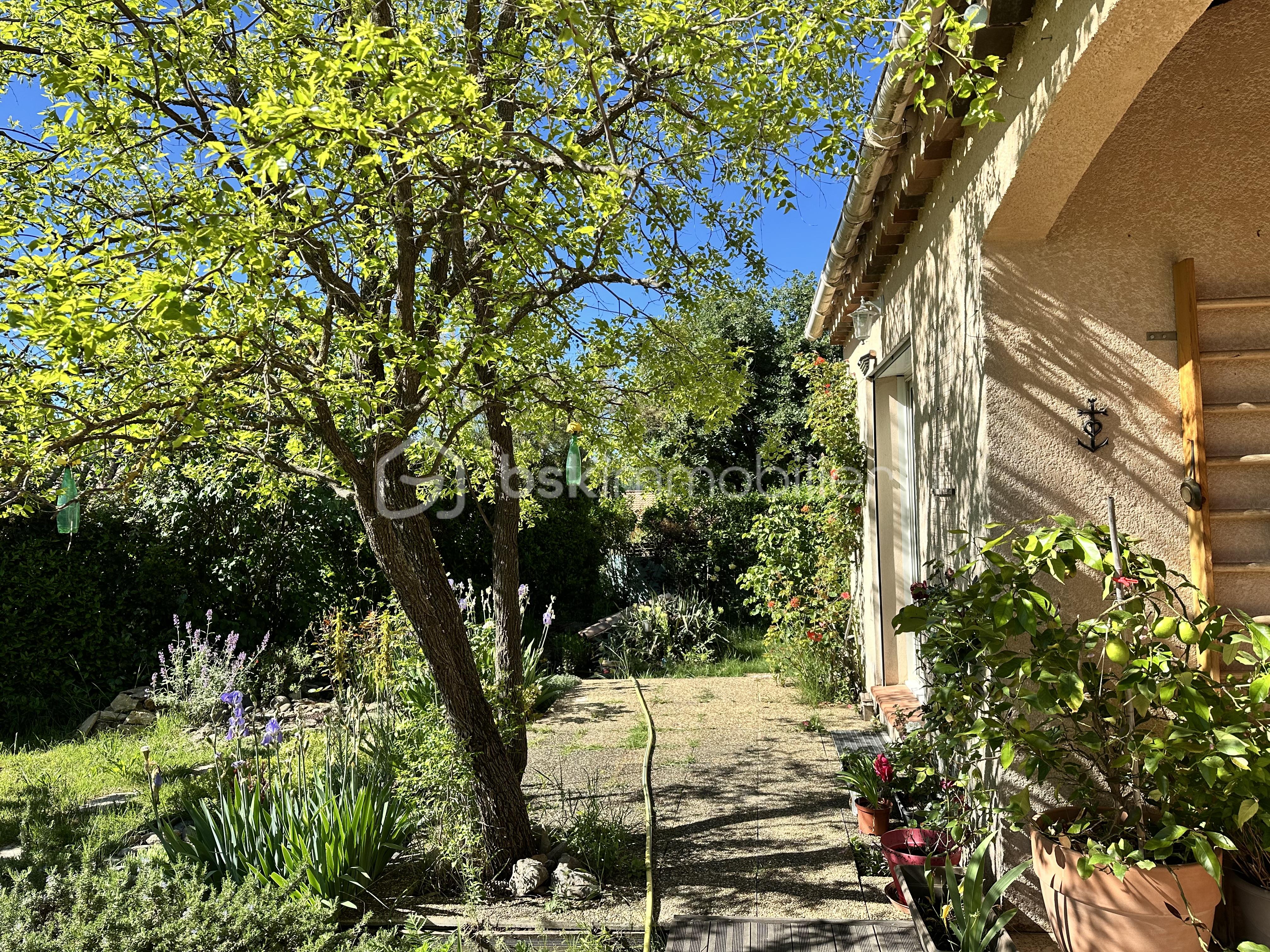 IMG_0160.jpeg
