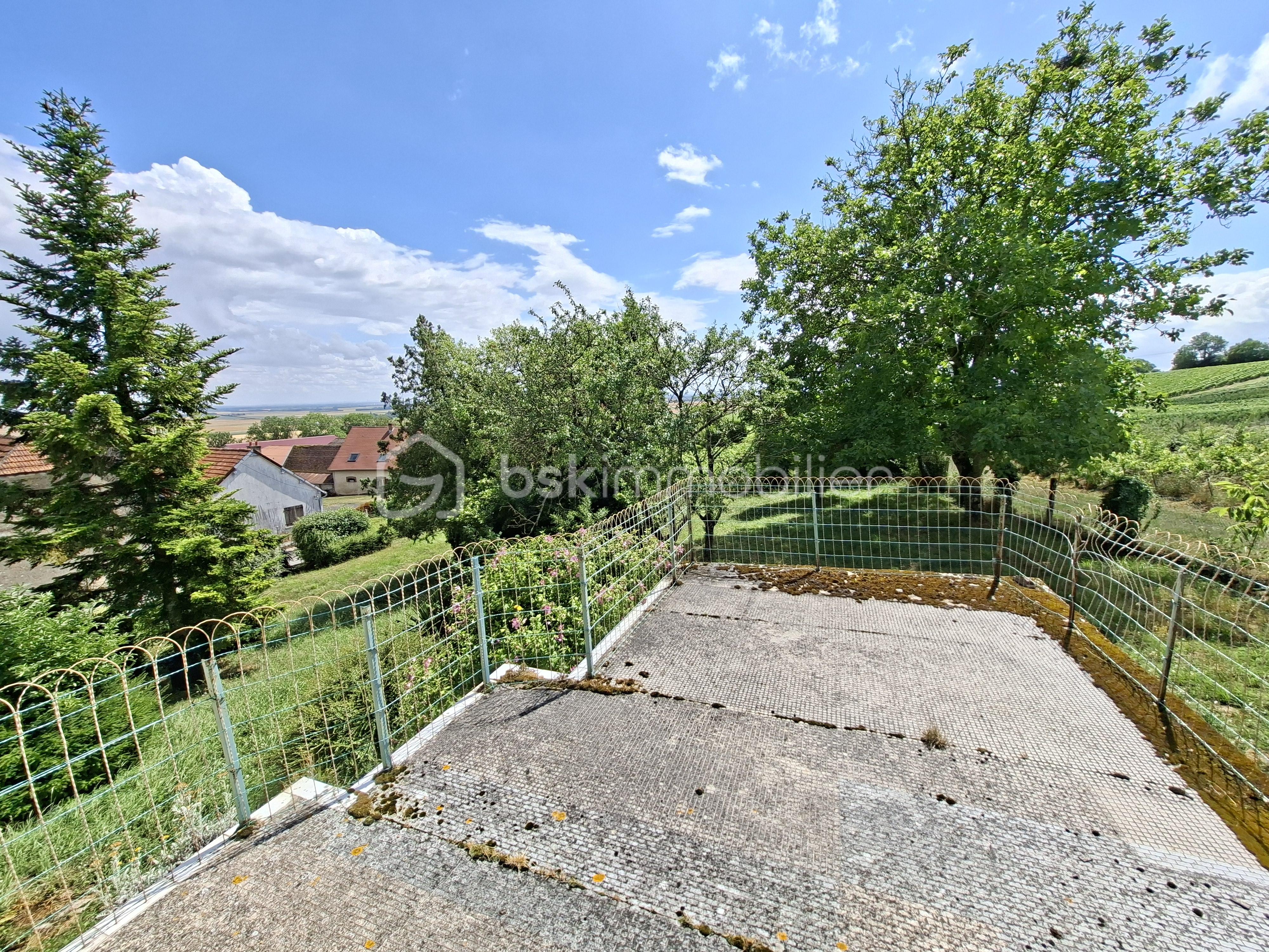 f1636218776.jpg