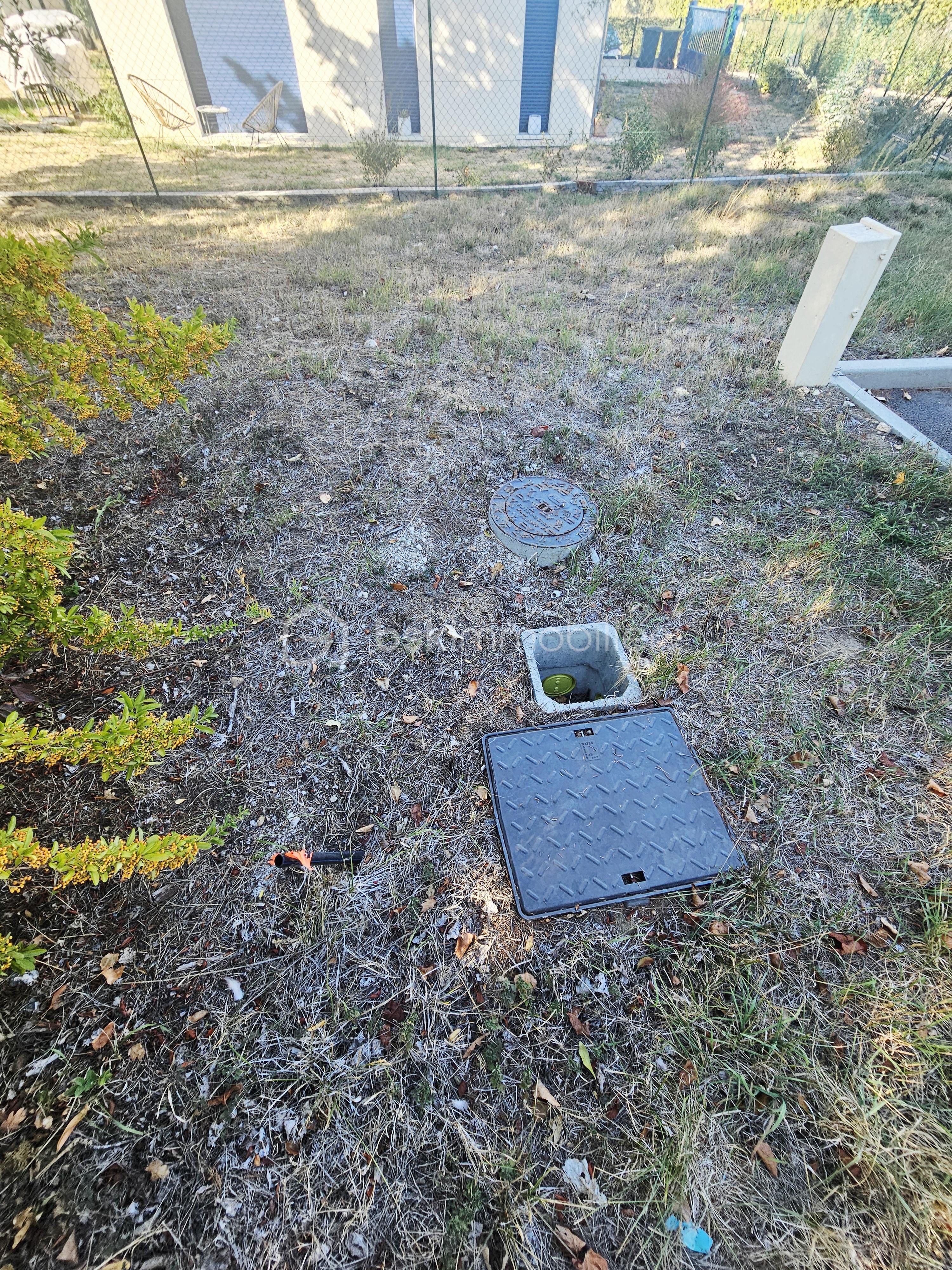 20260915_173131.jpg