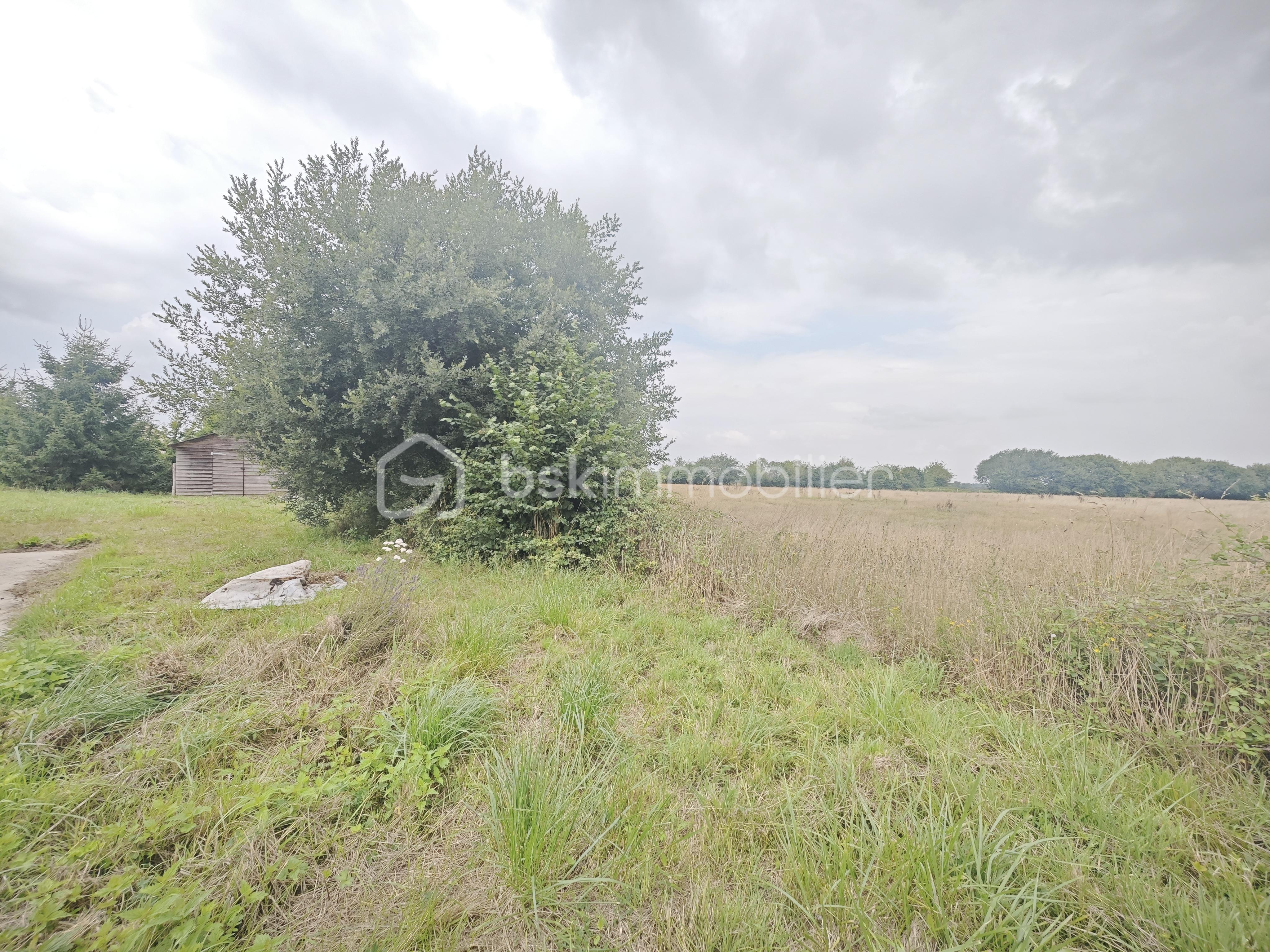 Maison de 100 m² - 1000013864.jpg