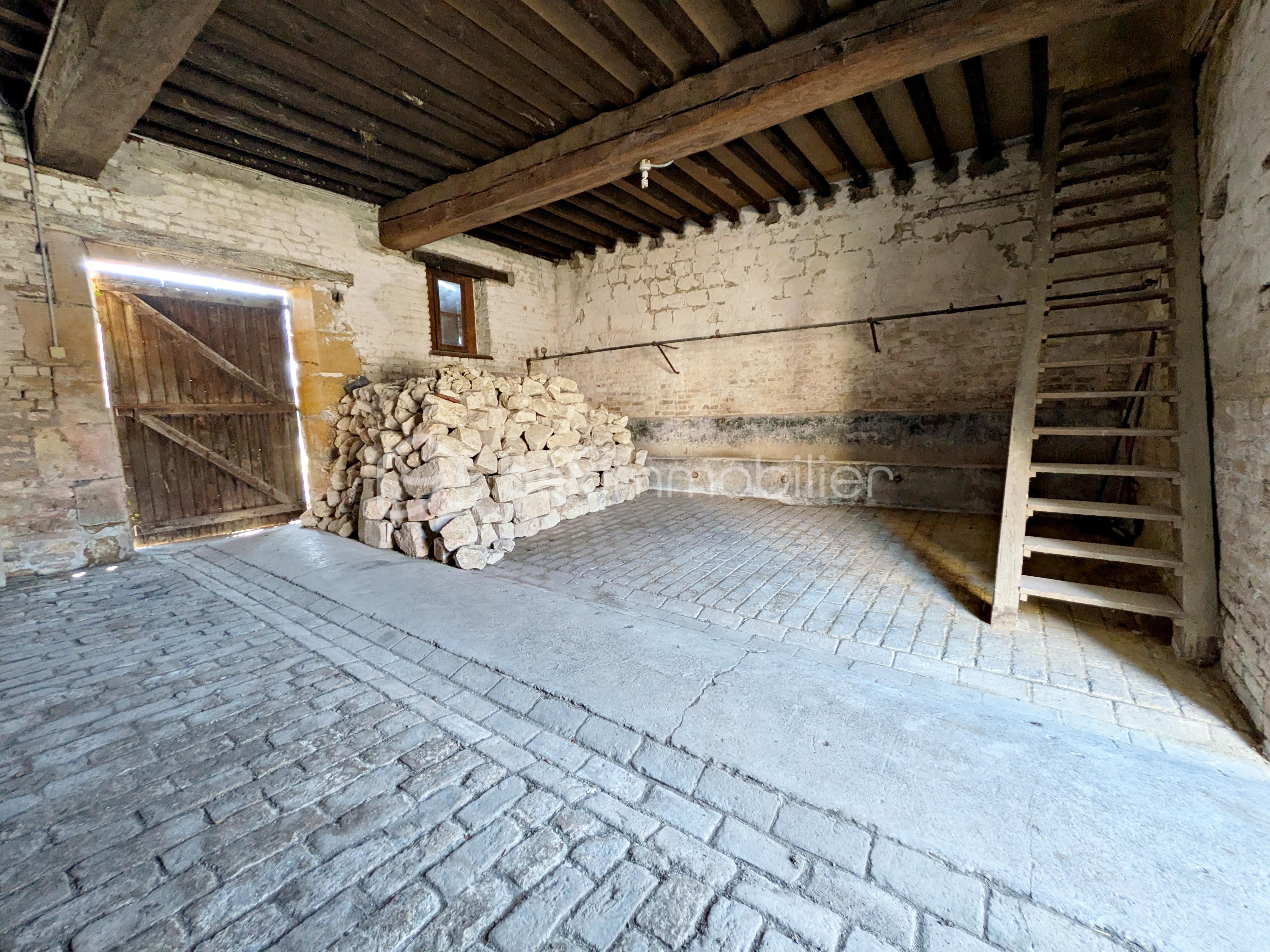 m   PXL_20260320_115005840.MP.jpg