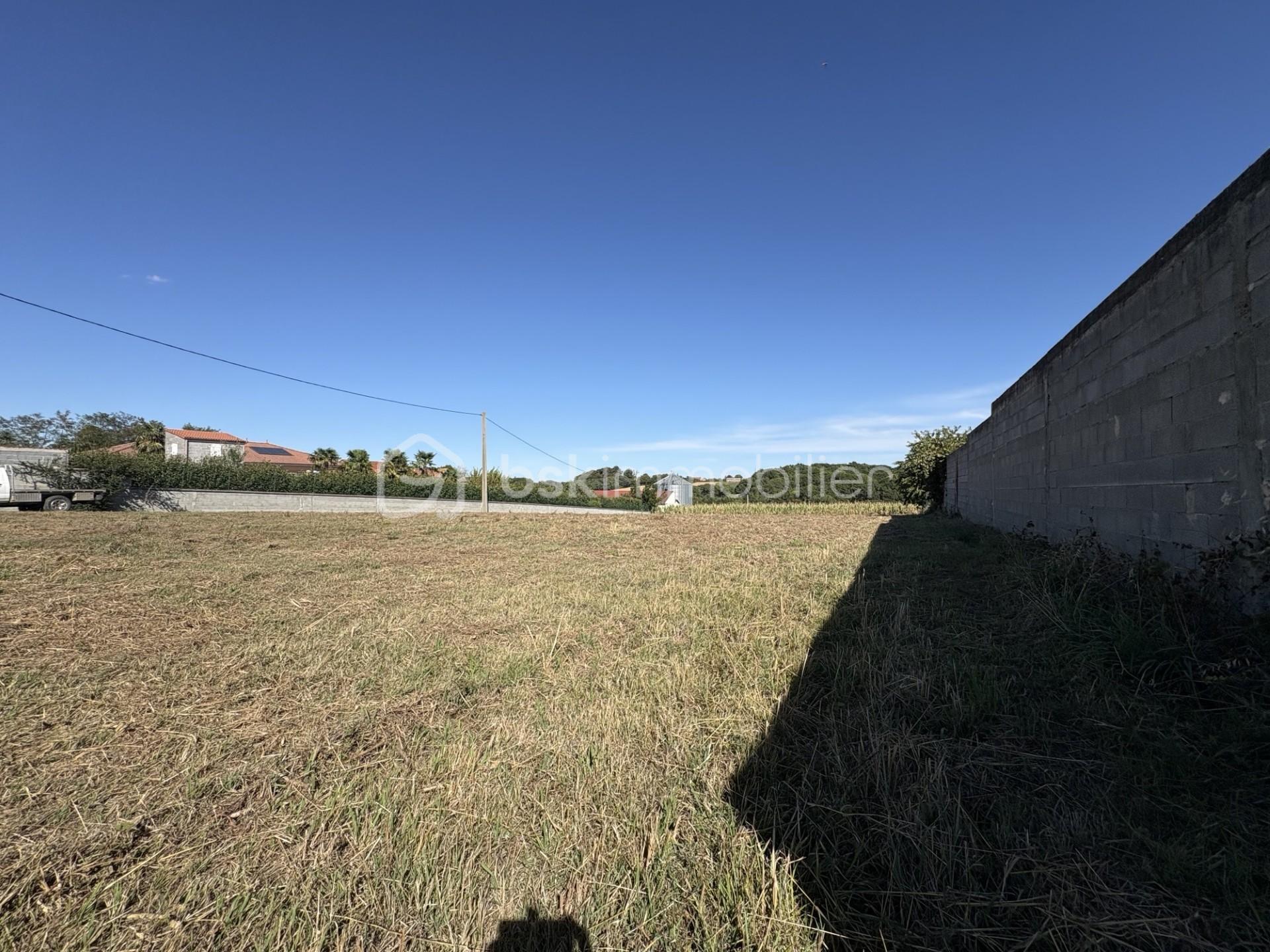 1b4f87bc-56d0-4e91-b42a-8acc2c48954e.jpg