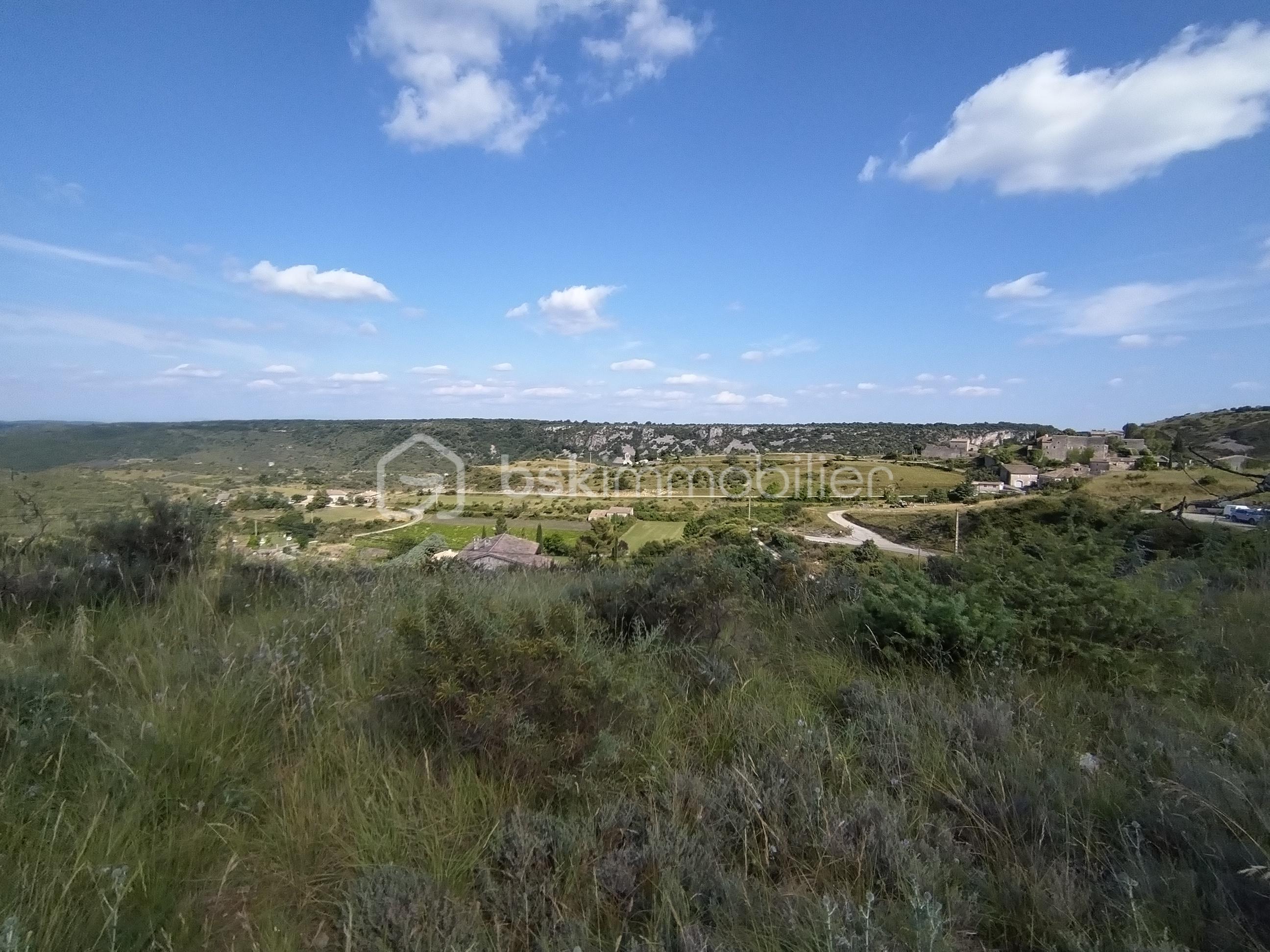 Terrain de 2 500 m² - IMG_20240626_172846.jpg