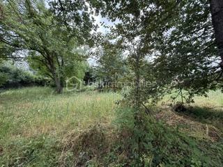 IMG_5220.jpeg