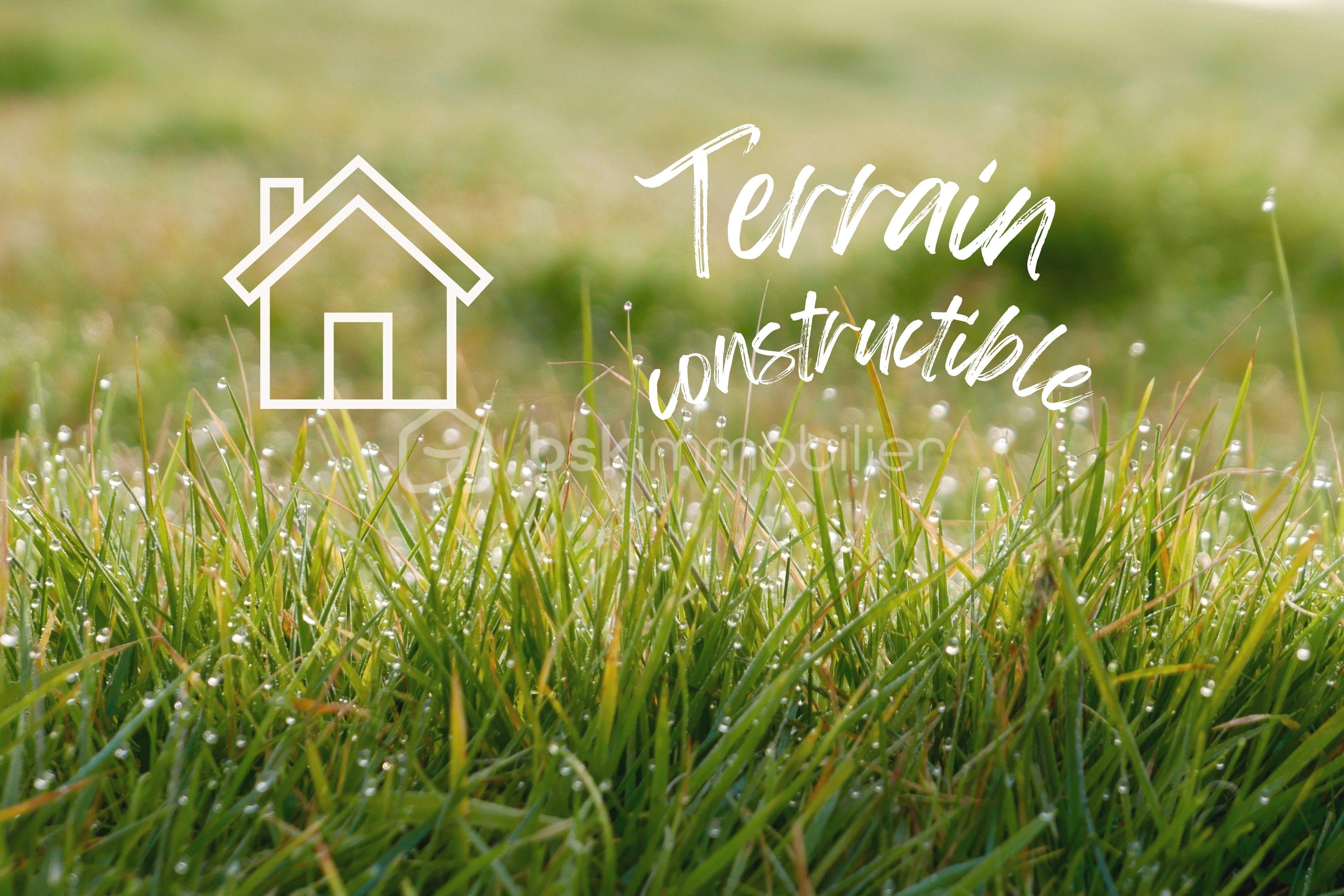Terrain de 2 423 m² - Terrain constructible.jpg