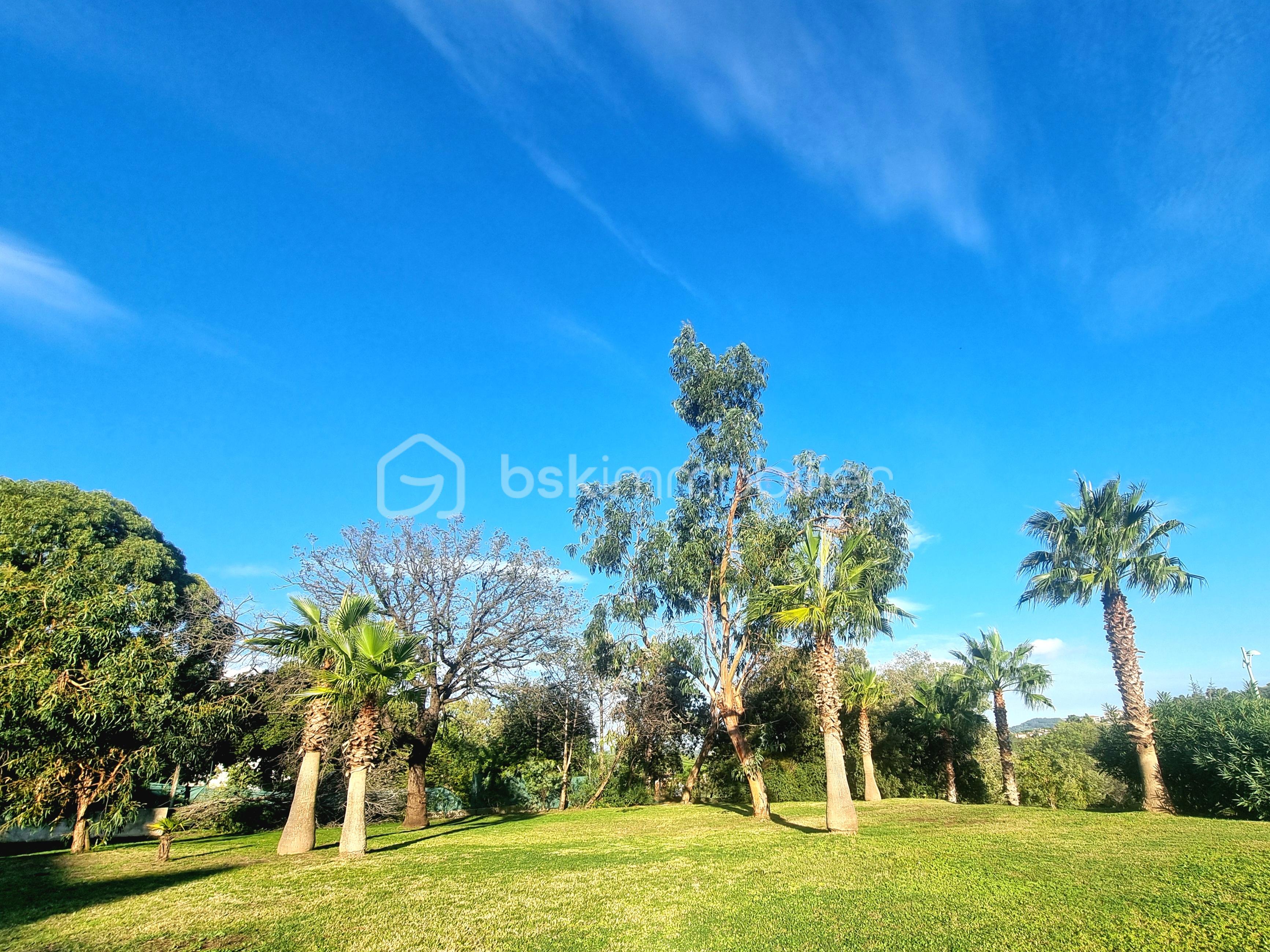 Appartement de 28,80 m² - 1000147038.jpg