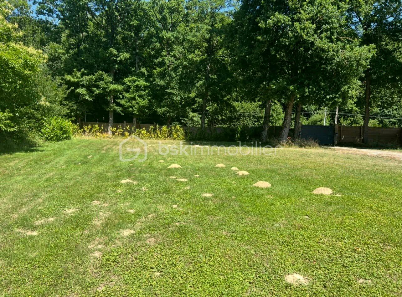jardin.jpg