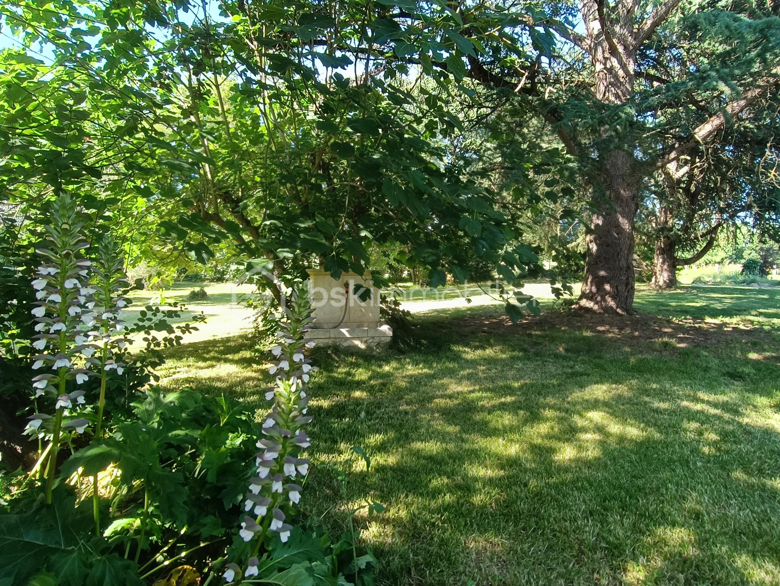 1000180240.jpg