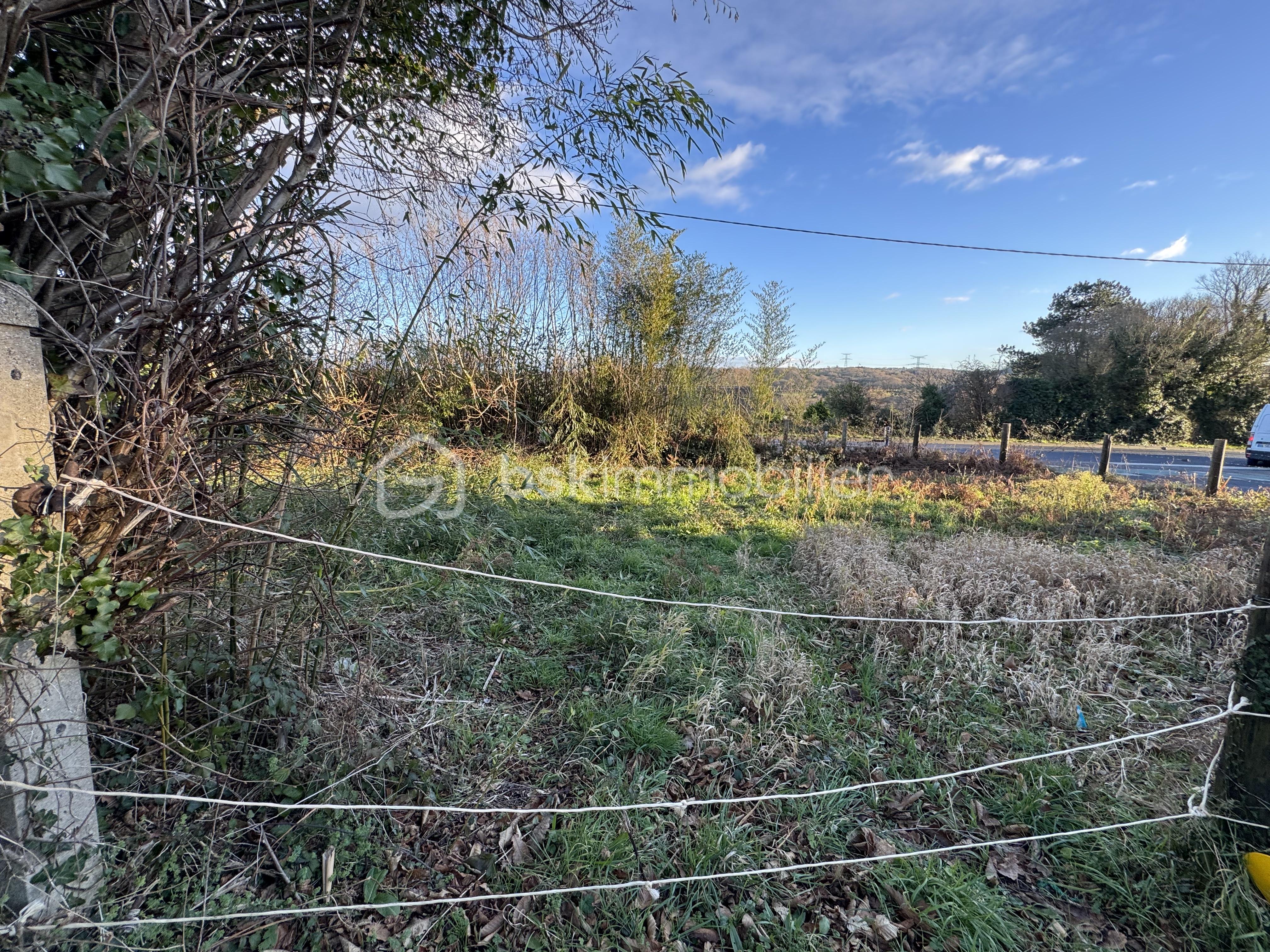 Terrain de 493 m² - IMG_4929.jpeg