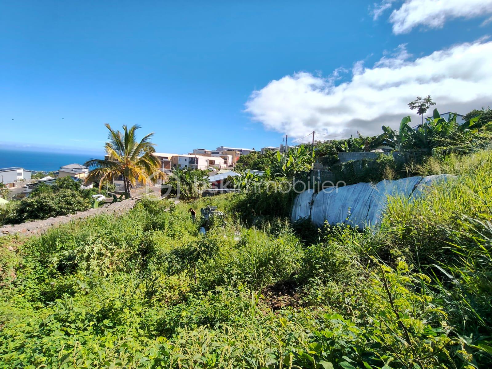 Terrain de 508 m² - WhatsApp Image 2026-01-21 at 10.15.18 (1).jpeg