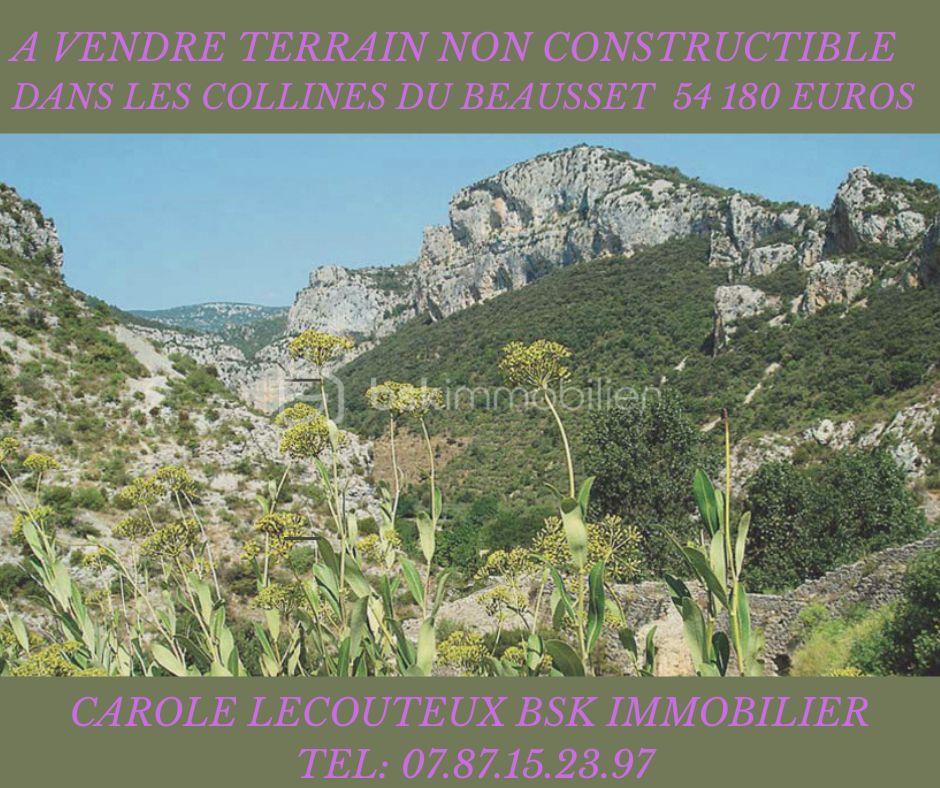 Terrain de 12 900 m² - TERRAIN A VENDRE.jpg