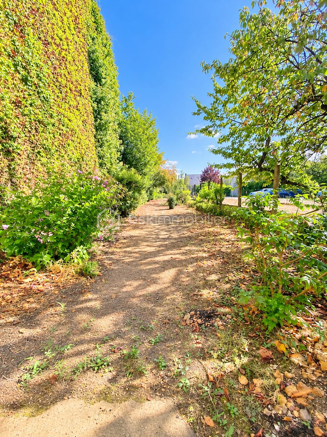IA jardin.png