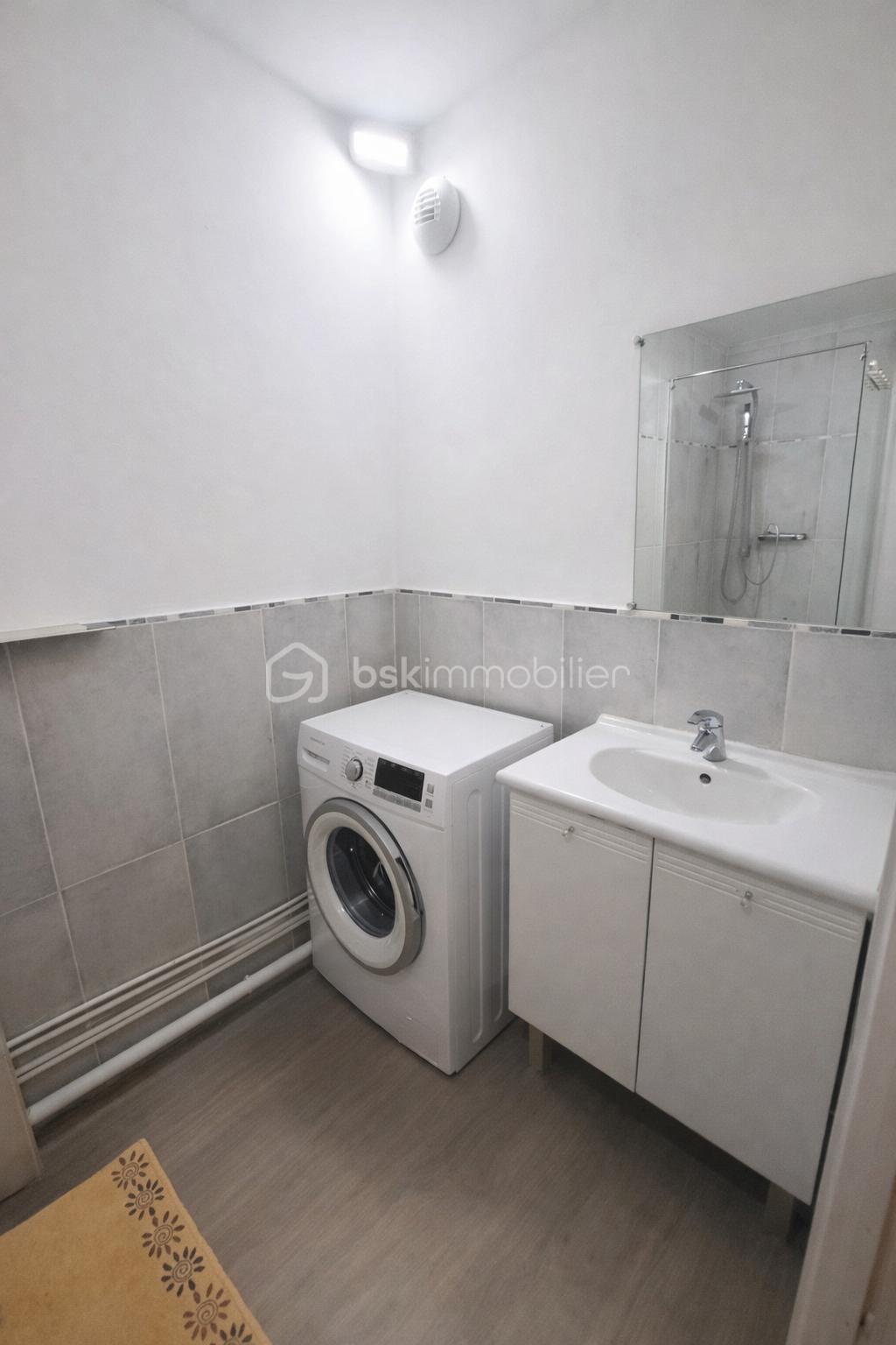 Appartement de 50 m² - sdb.png