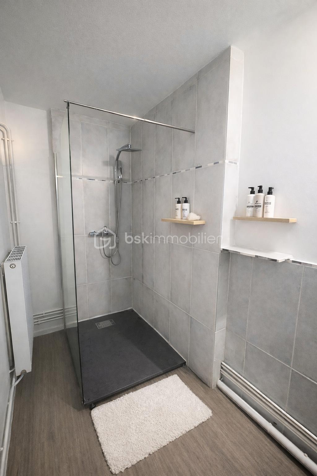Appartement de 50 m² - douche ia.png