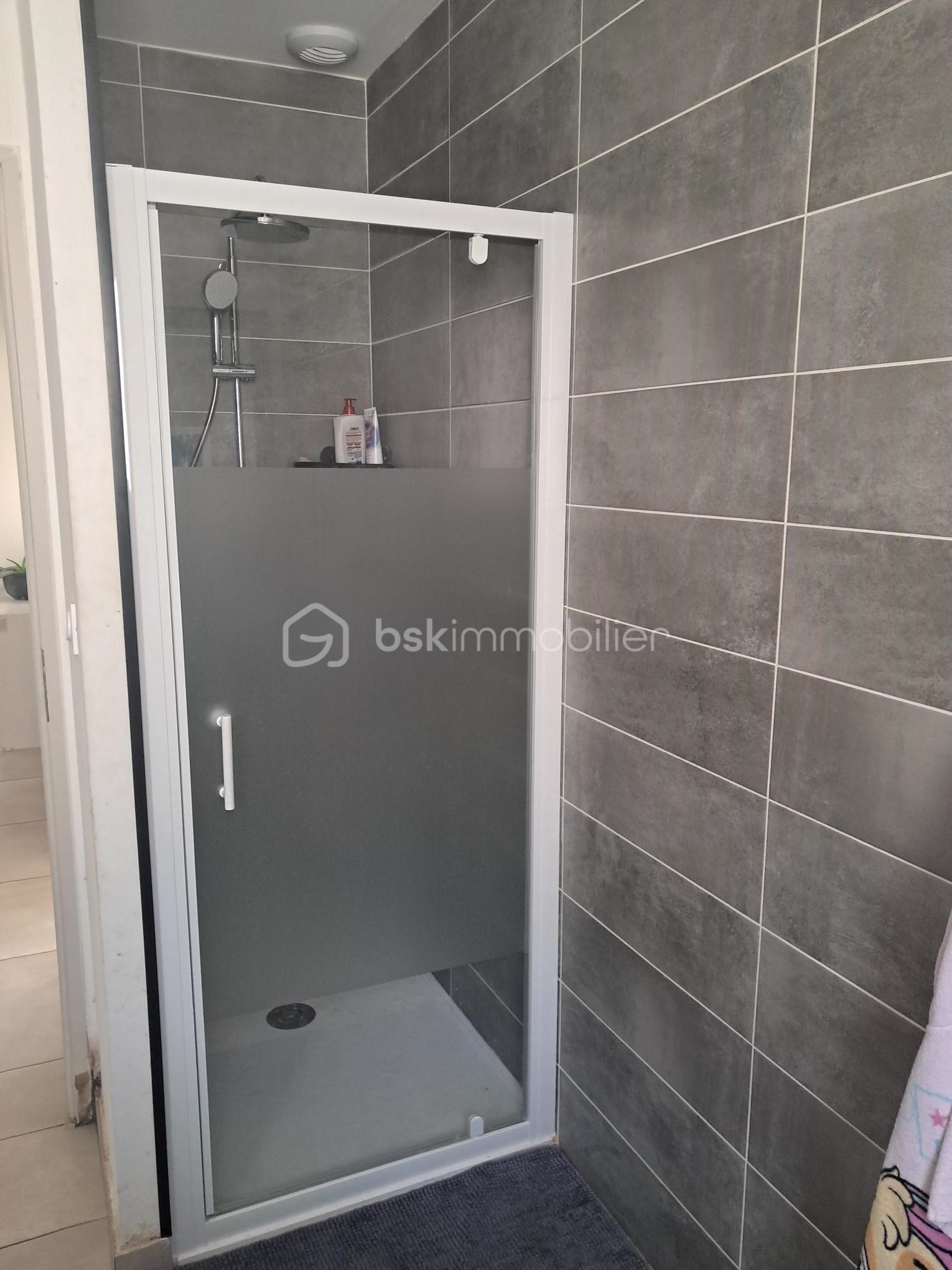 salle eau douche.jpg