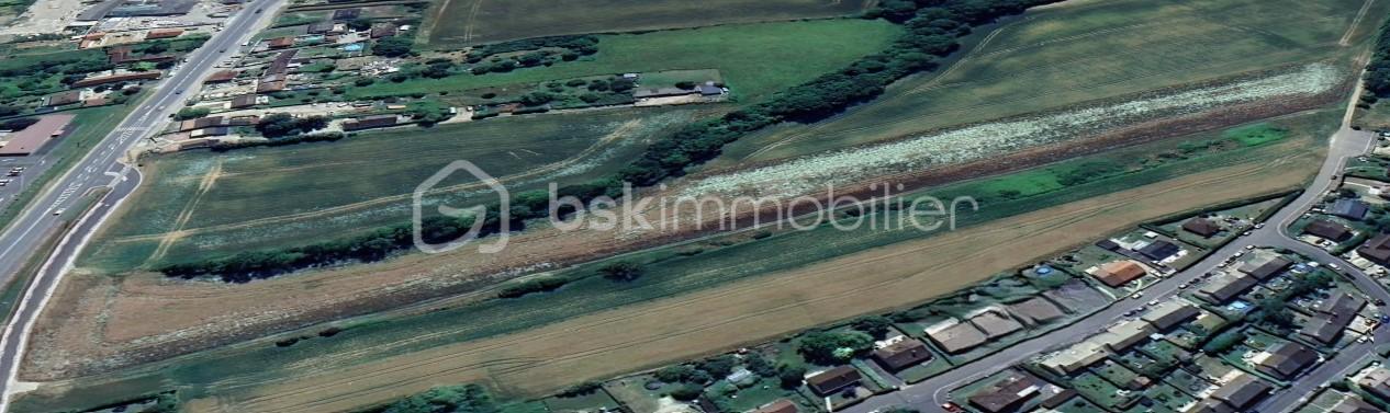 Terrain agricole de 19 960 m² - Parcelle 024.jpg