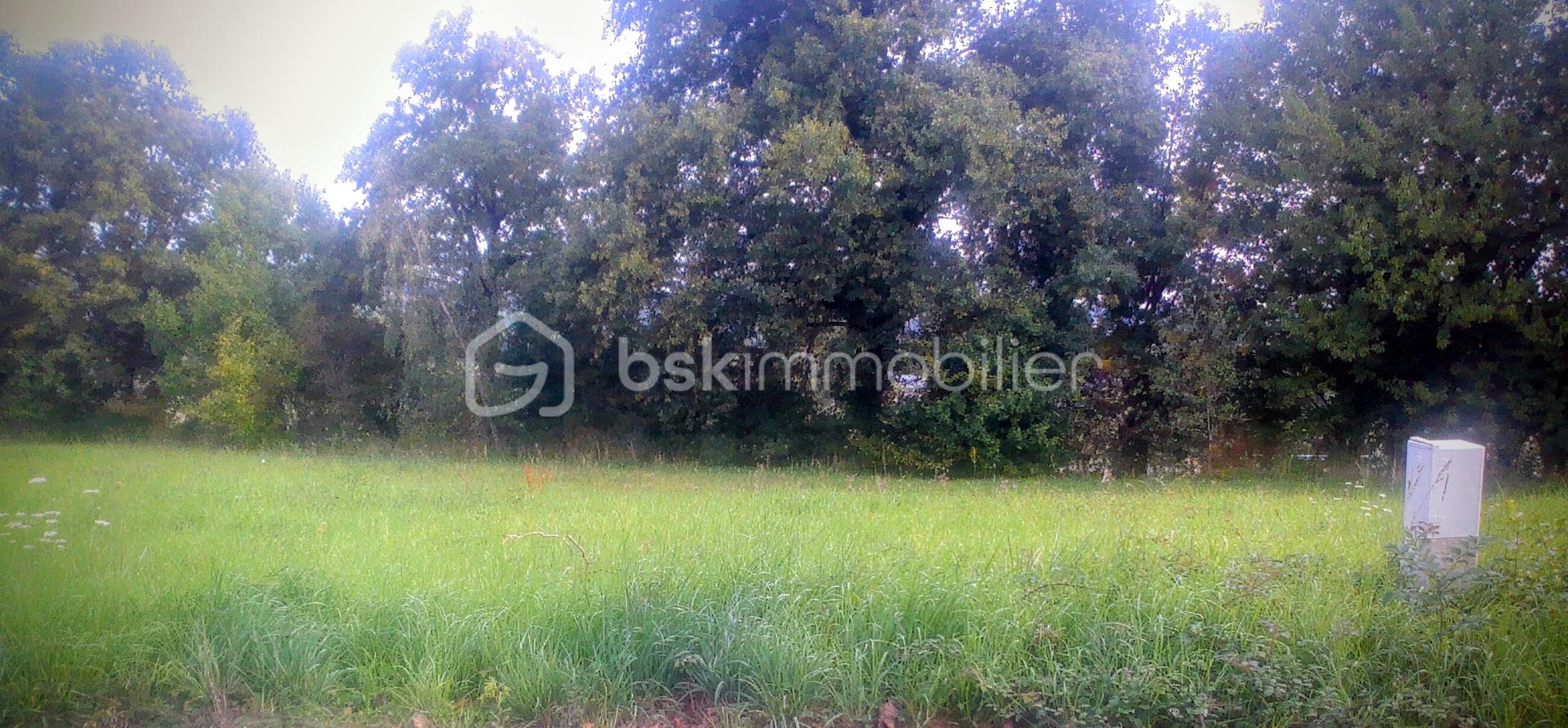 Terrain de 721 m² - 2025-09-27-13-20-36 (2).jpg
