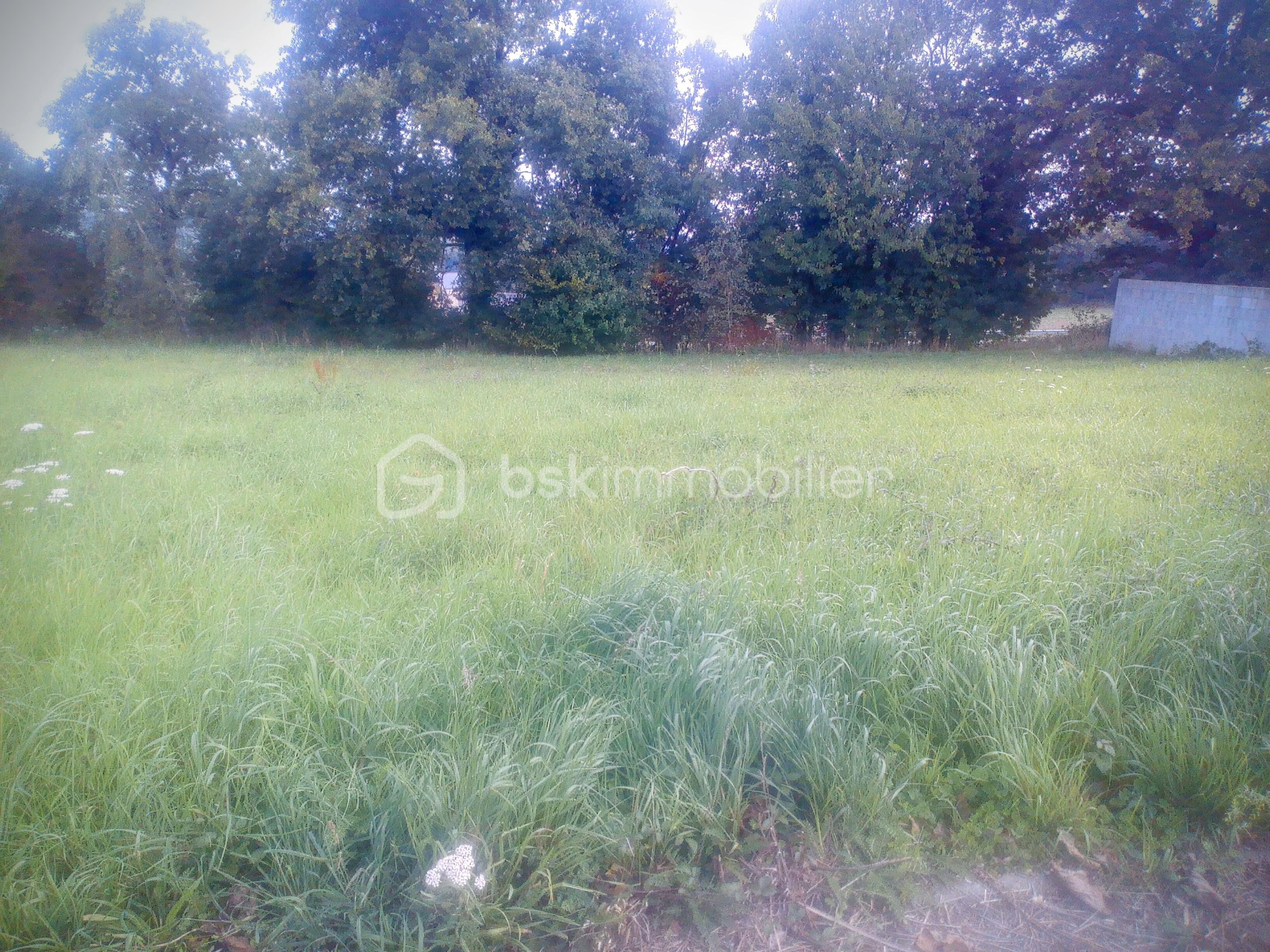 Terrain de 721 m² - 2025-09-27-13-20-19 (1).jpg