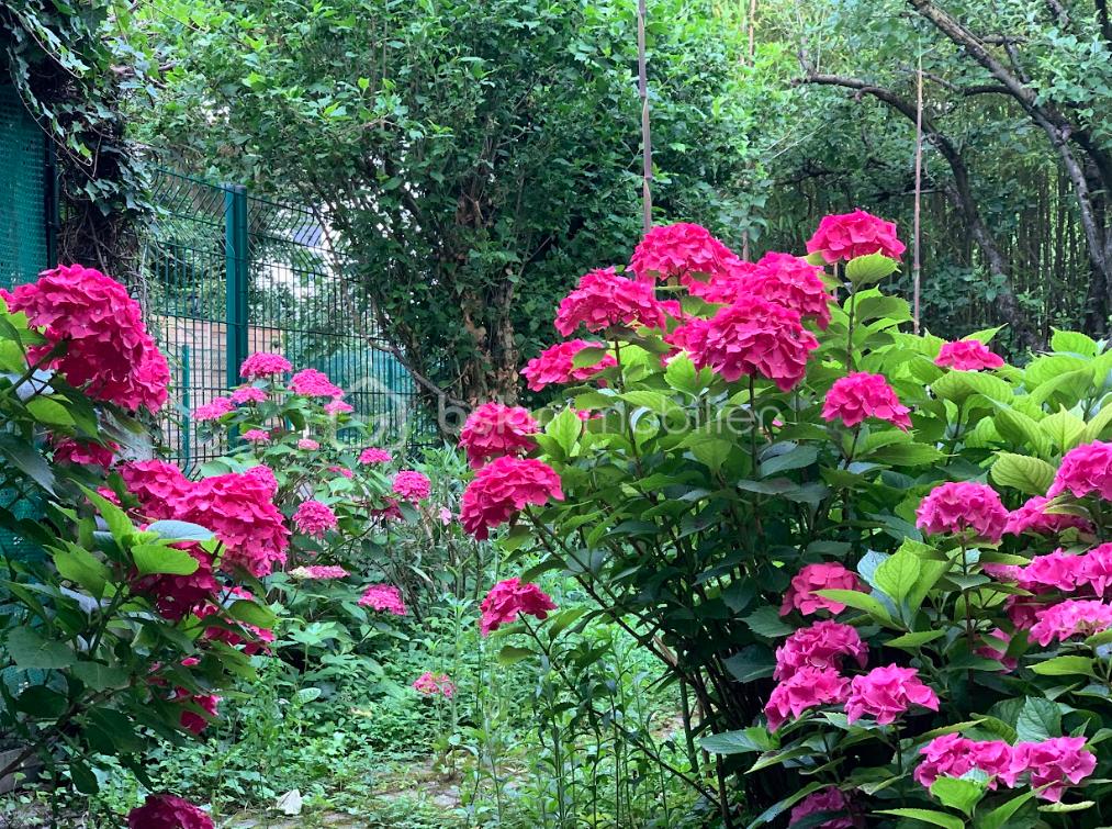 Maison de 136 m² - Jardin.png