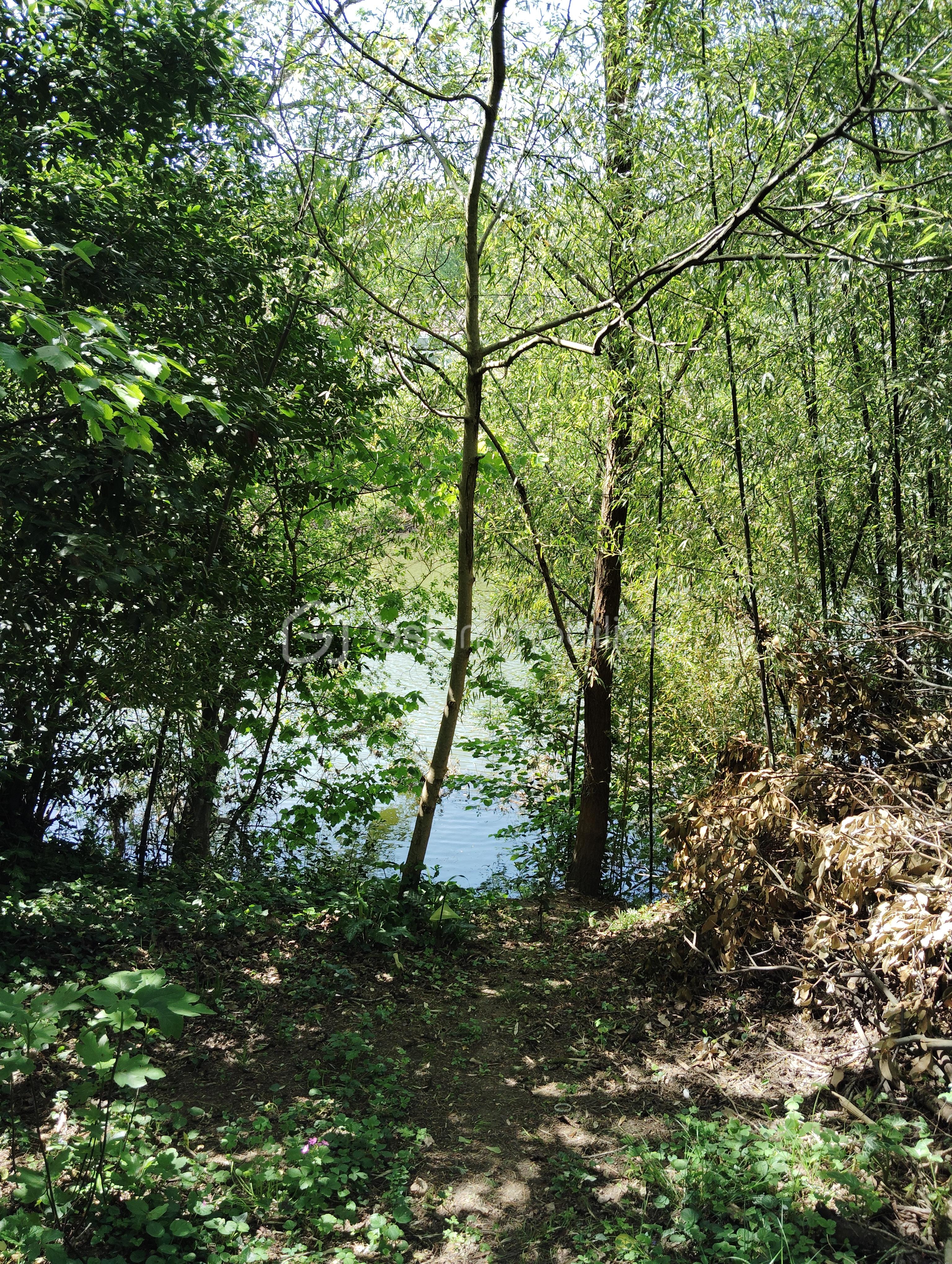IMG_20260423_144013.jpg