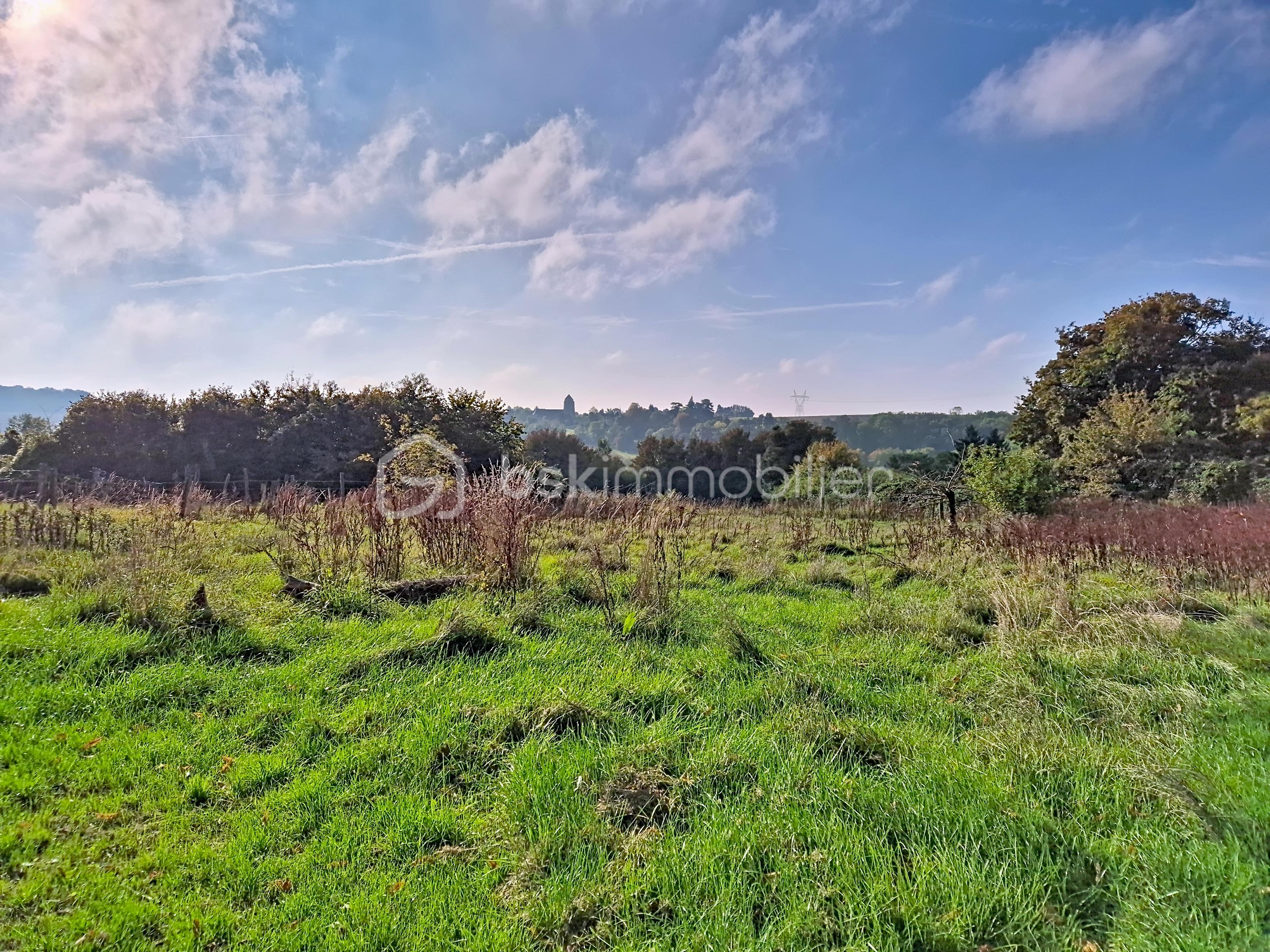 Maison de 75 m² - marina_00007.jpg