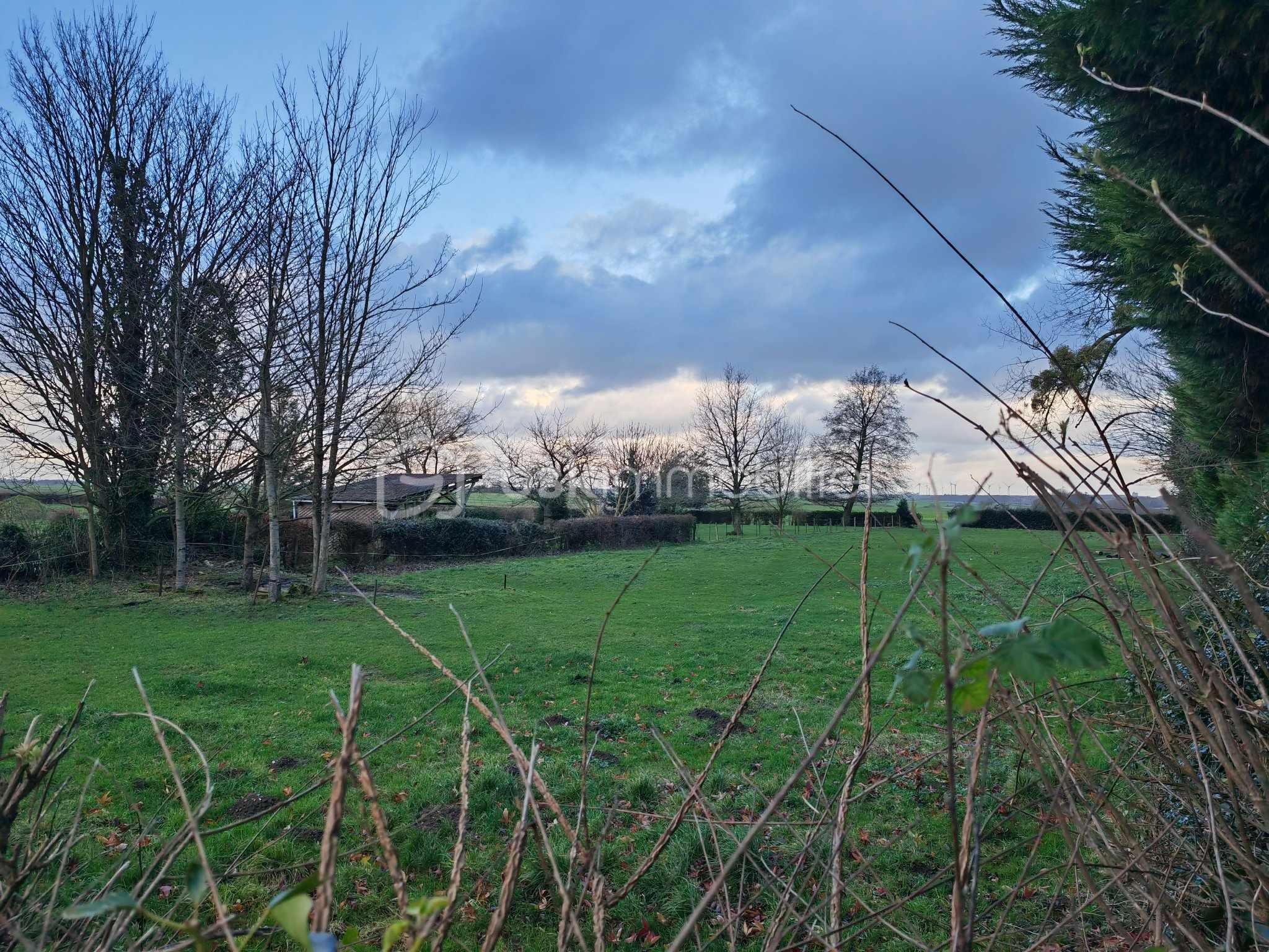 Terrain de 2 675 m² - 7.jpg