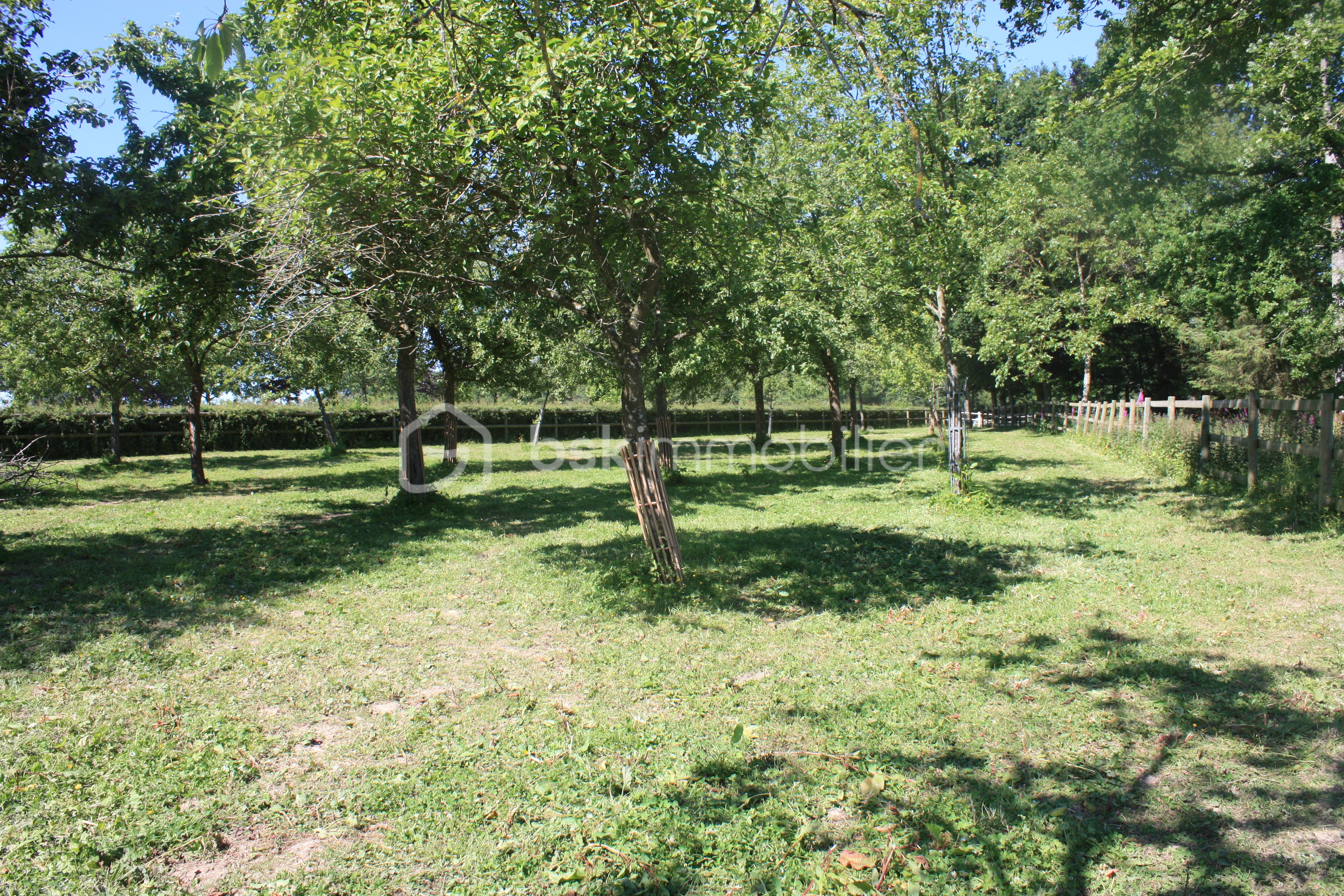Corps de ferme de 188 m² - verger.JPG