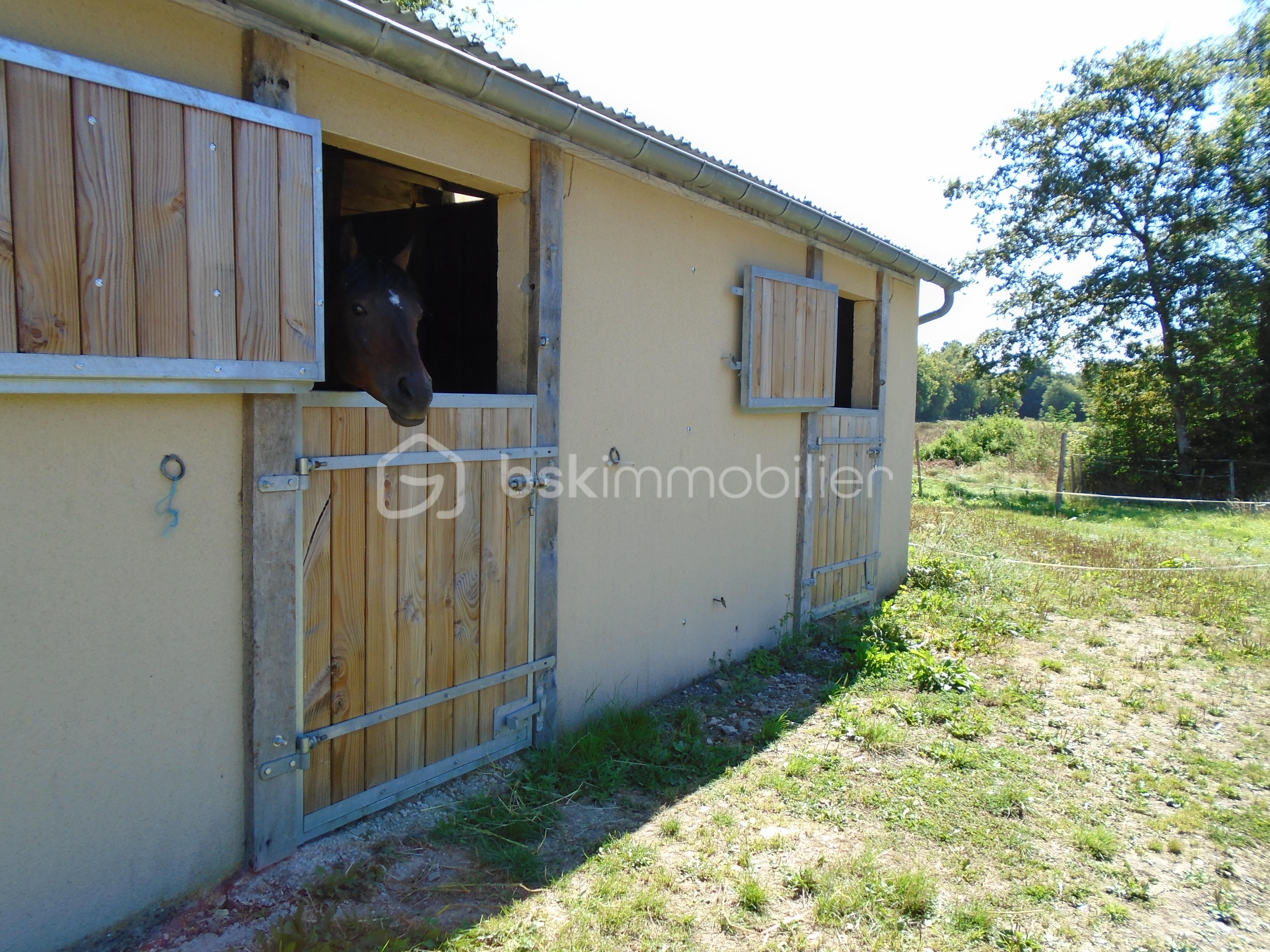 Corps de ferme de 188 m² - écurie.JPG