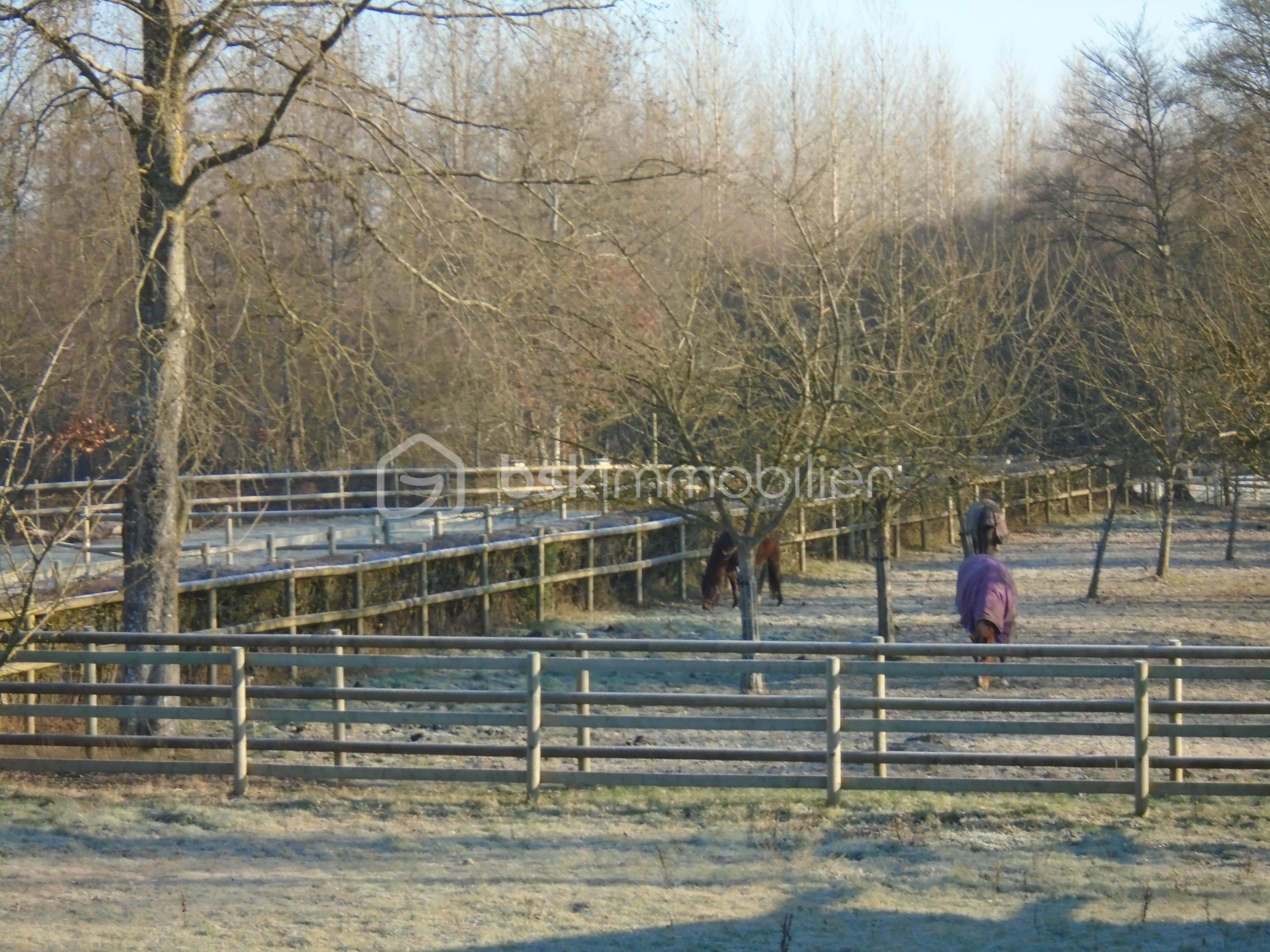 Corps de ferme de 188 m² - DSC00240.JPG