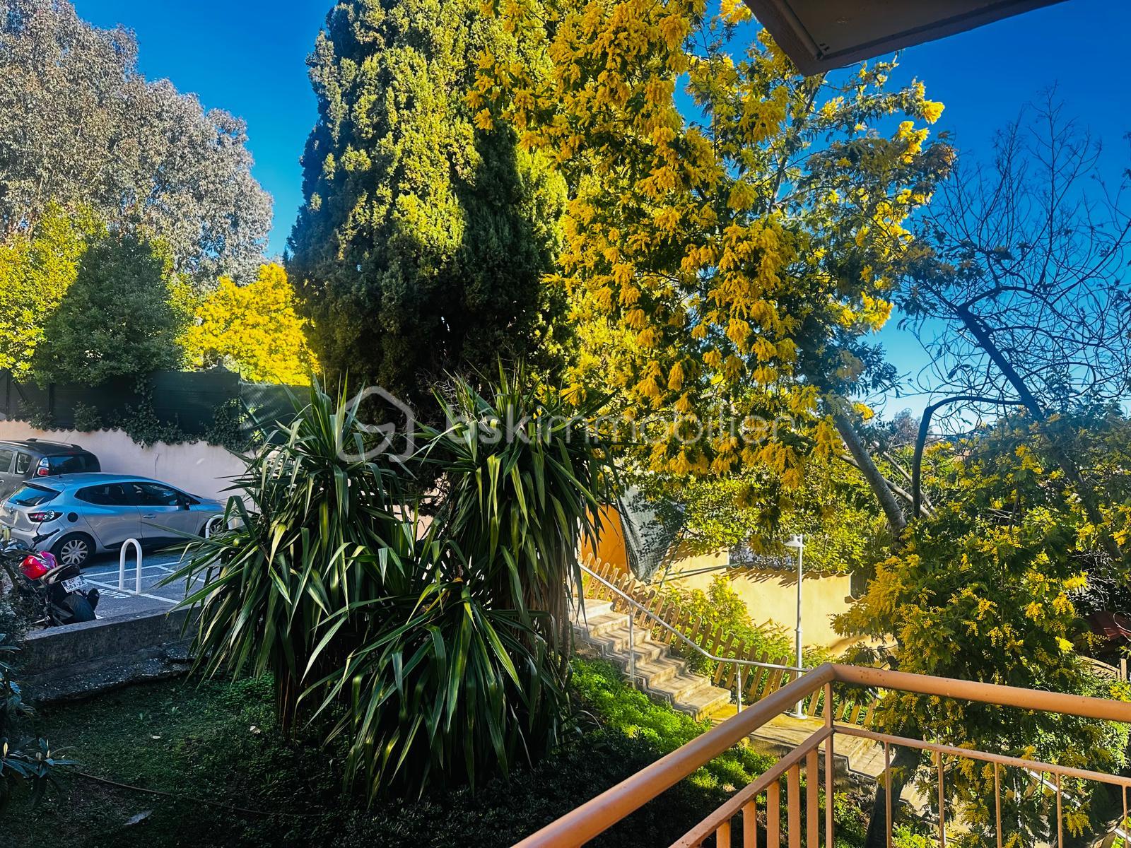 PHOTO-2026-02-17-10-05-14 20.jpg