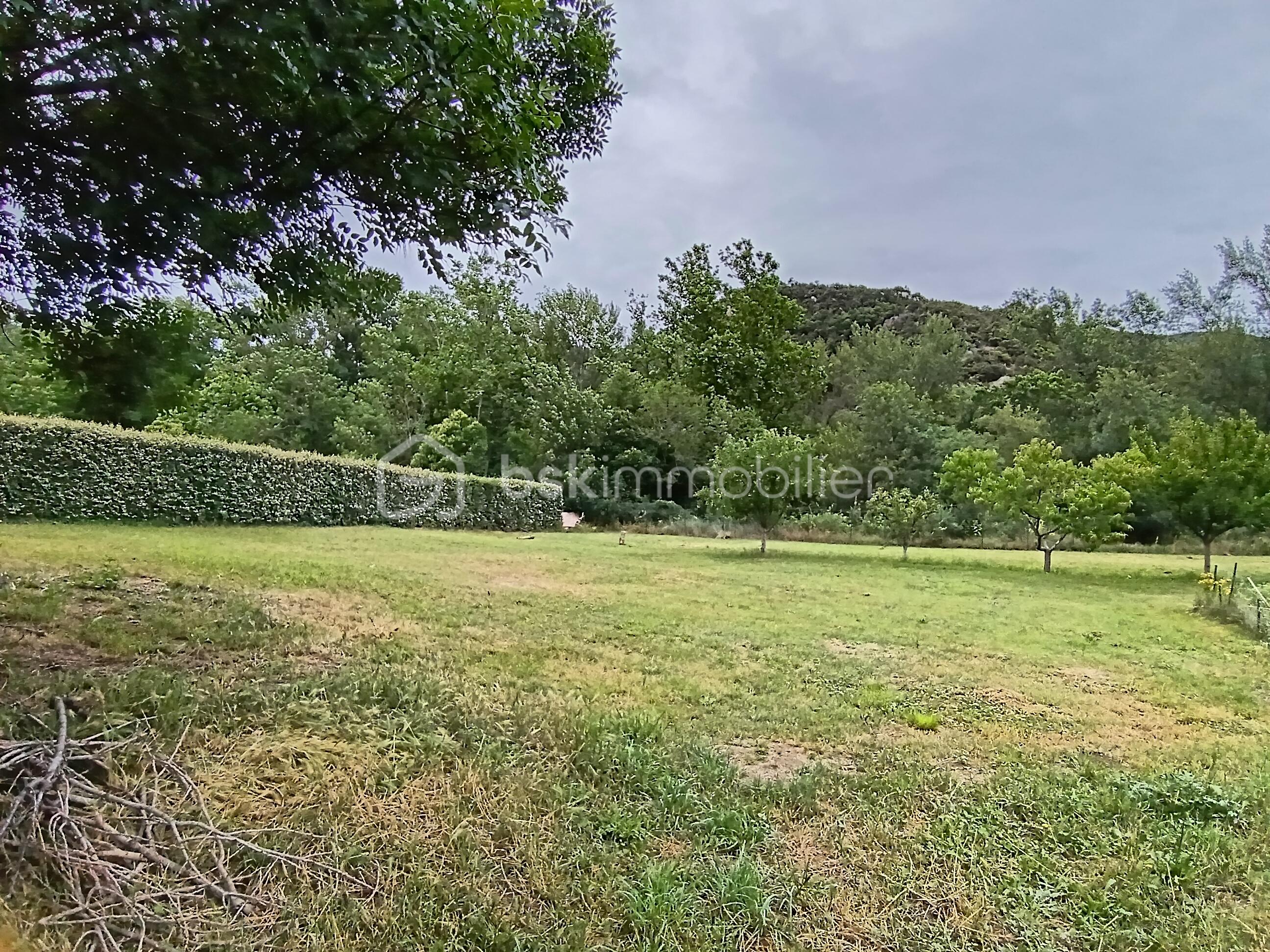JARDIN.jpg