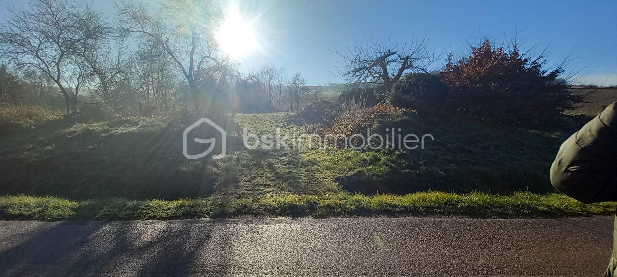 Terrain de 800 m² - 20251127_103144.jpg