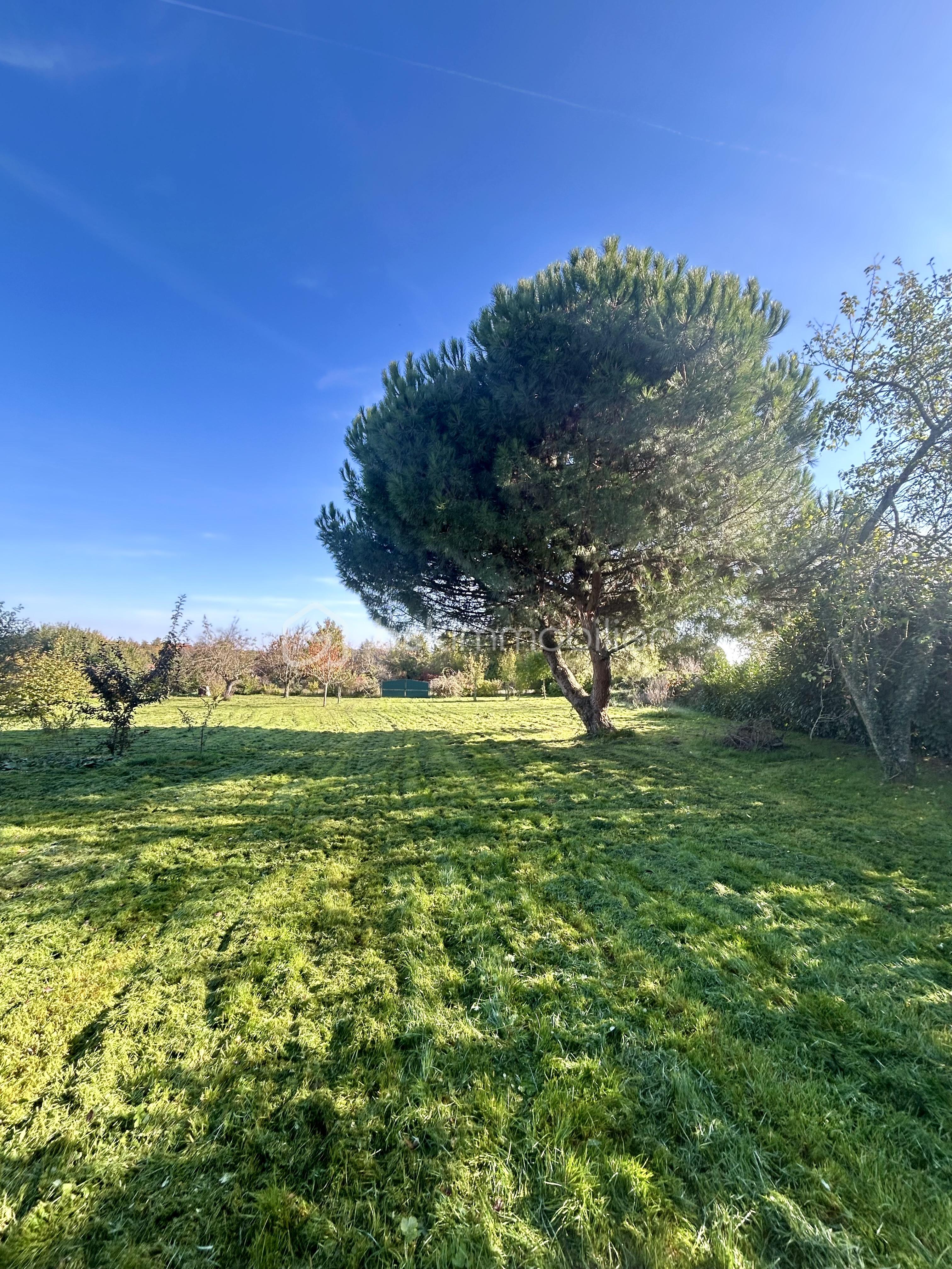 Maison de village de 182 m² - IMG_5164.jpeg