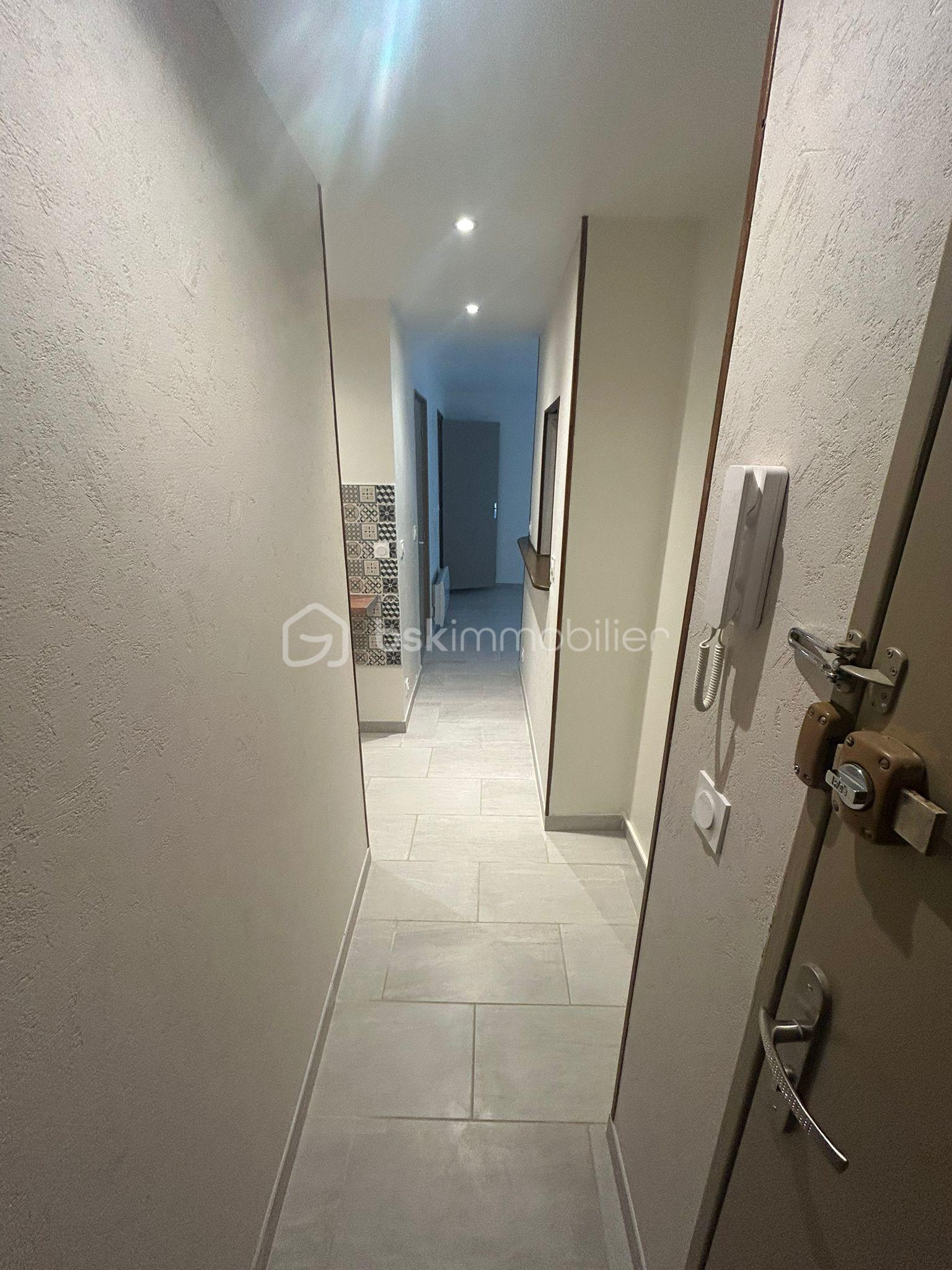 Appartement de 35 m² - couloir entrée portrait.jpg
