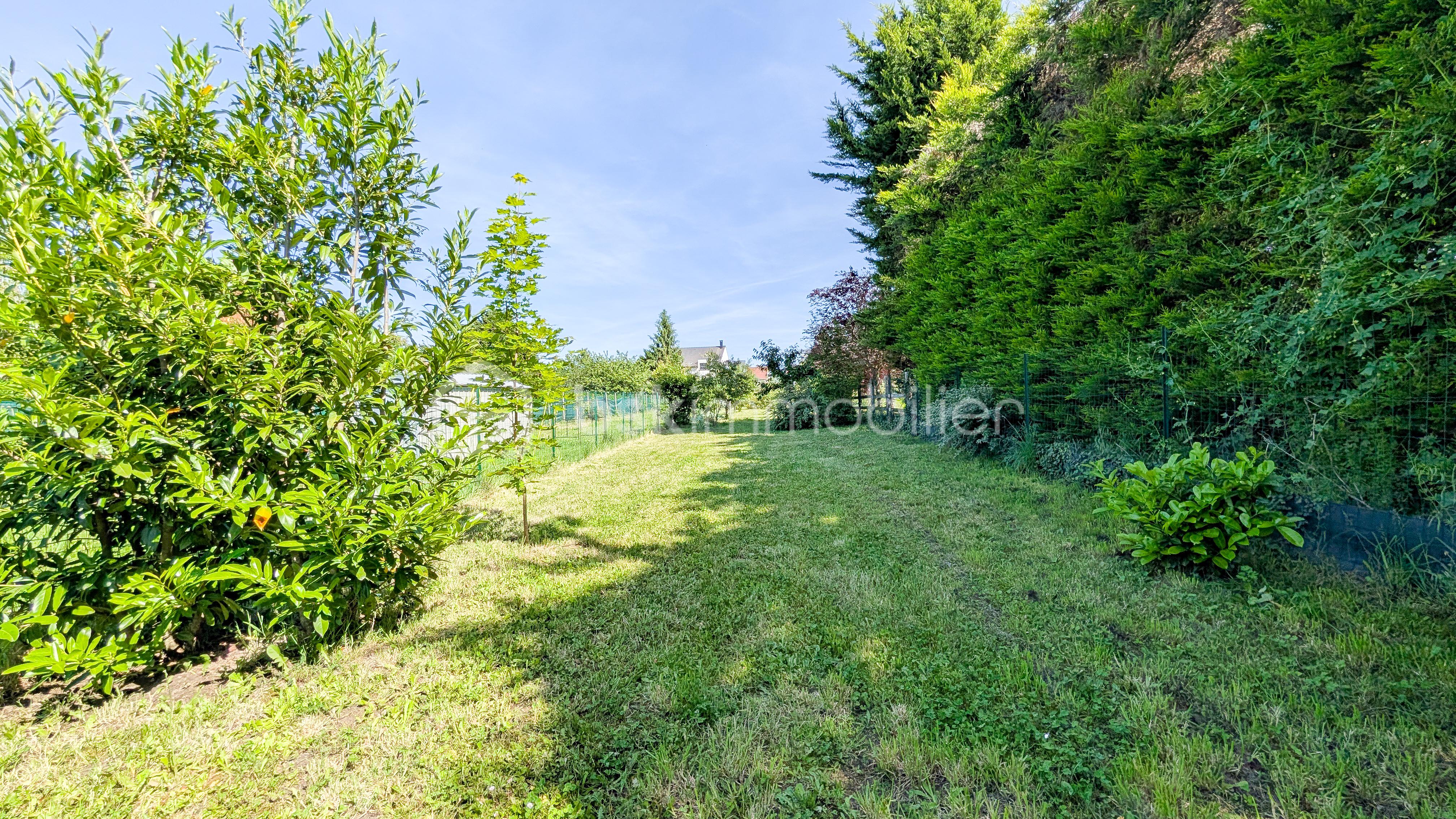 Jardin 1-2.jpg