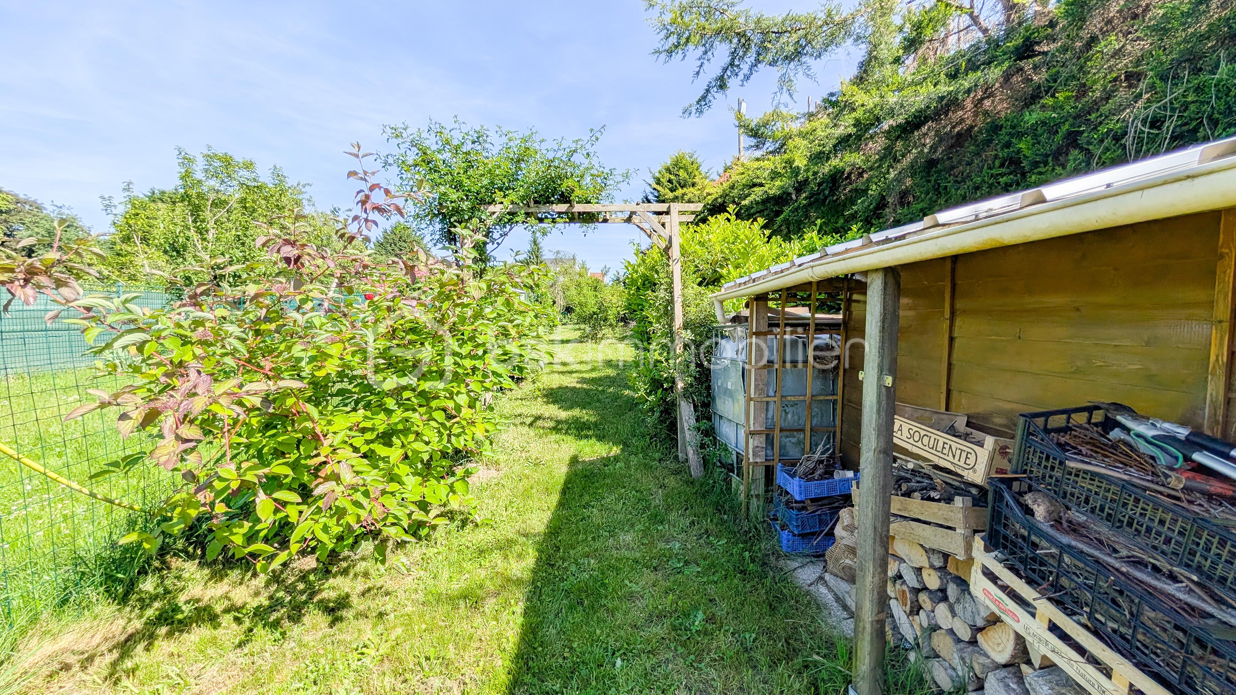 Jardin 1.jpg