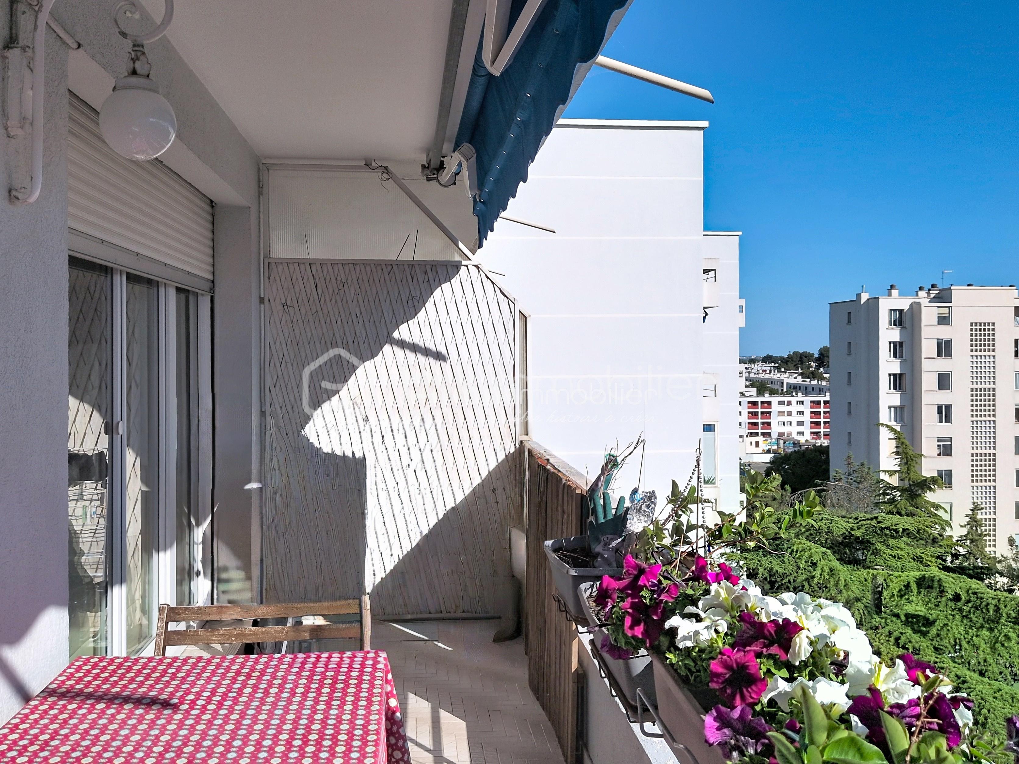 Vue Balcon.jpg