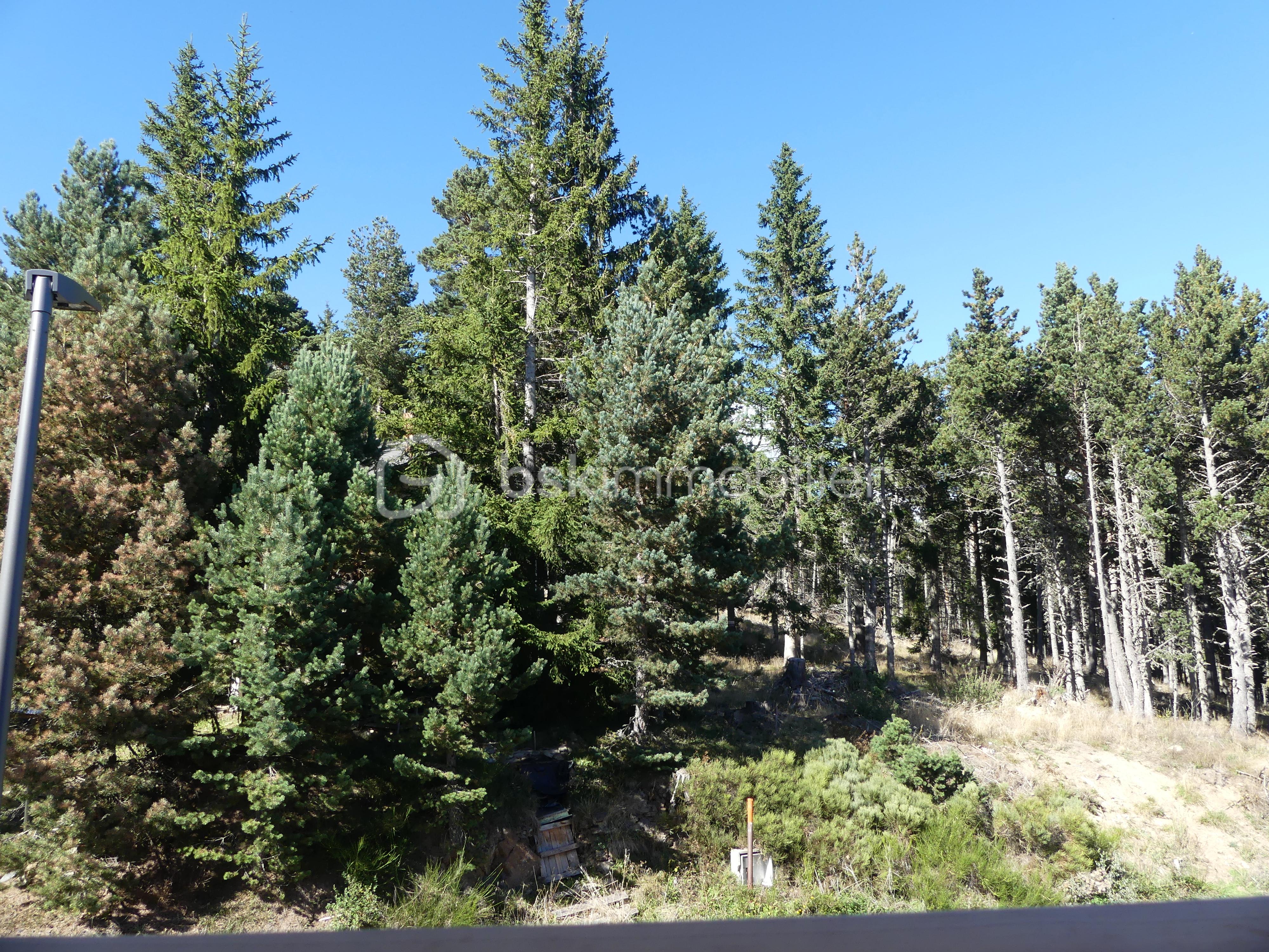 Chalet de 34,14 m² - Chb 1 vue.JPG