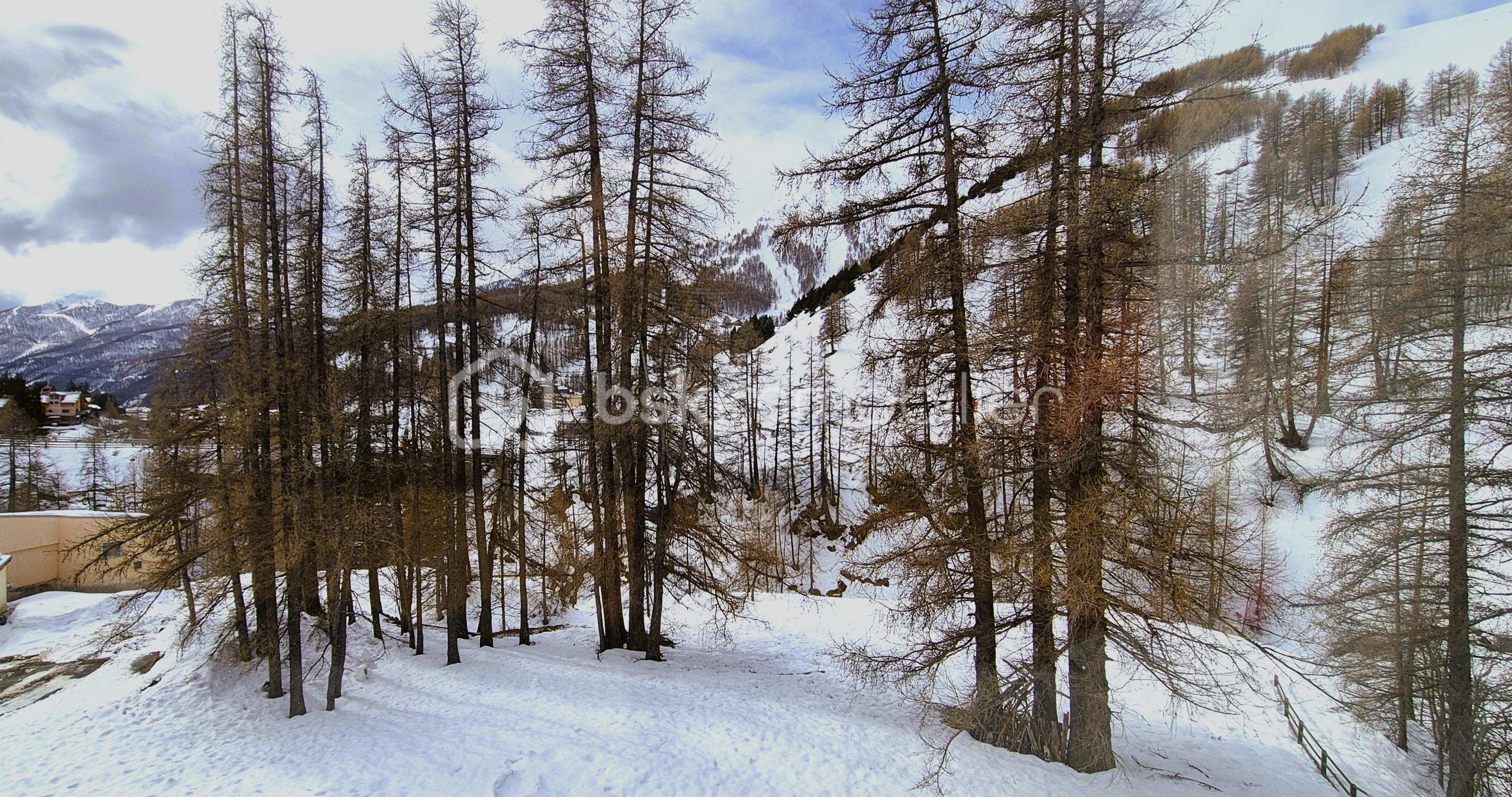 20260311_111445.jpg
