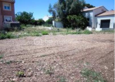 Capture d’écran 2026-02-16 à 12.54.08.png