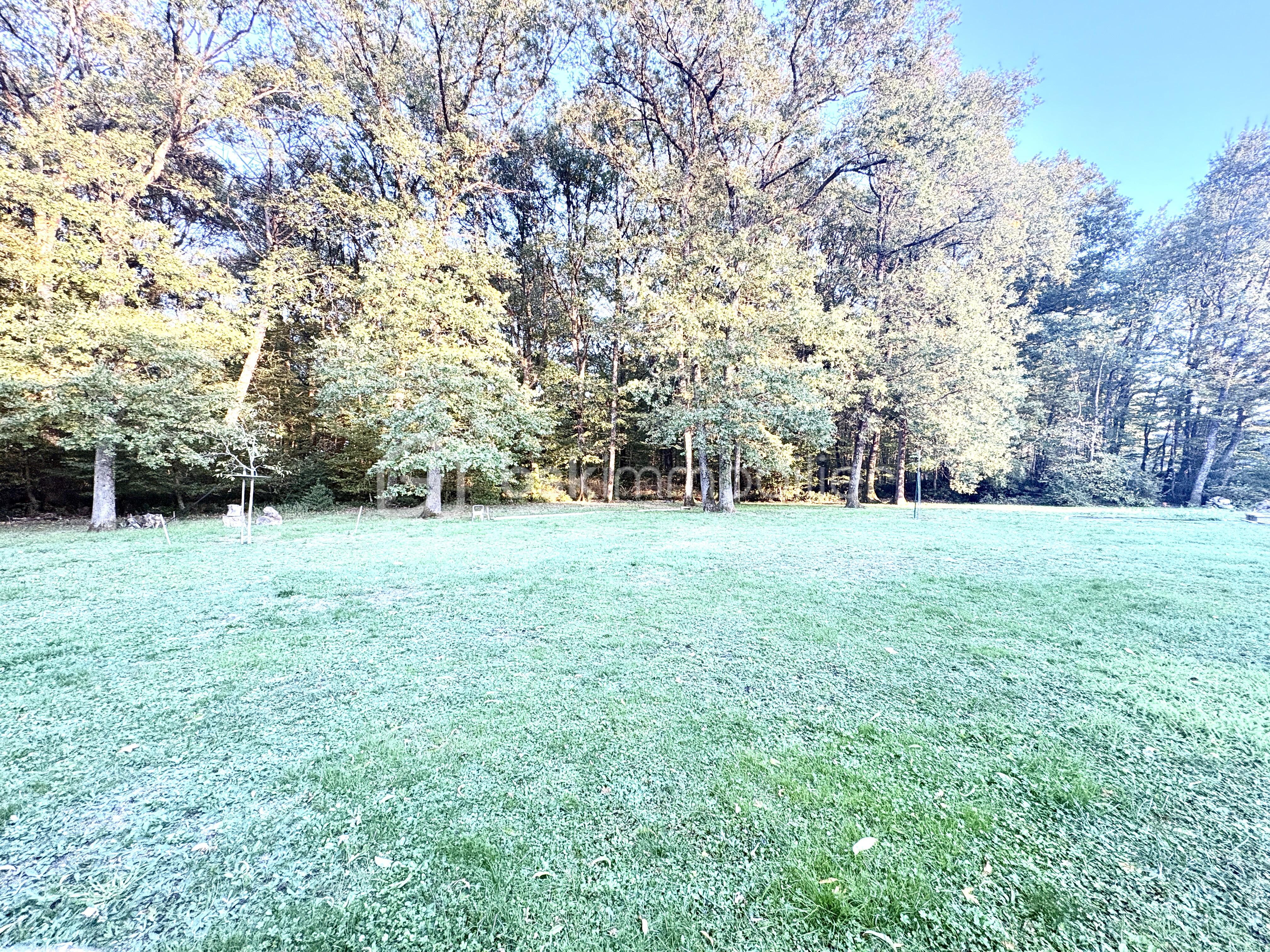 IMG_7841.jpg
