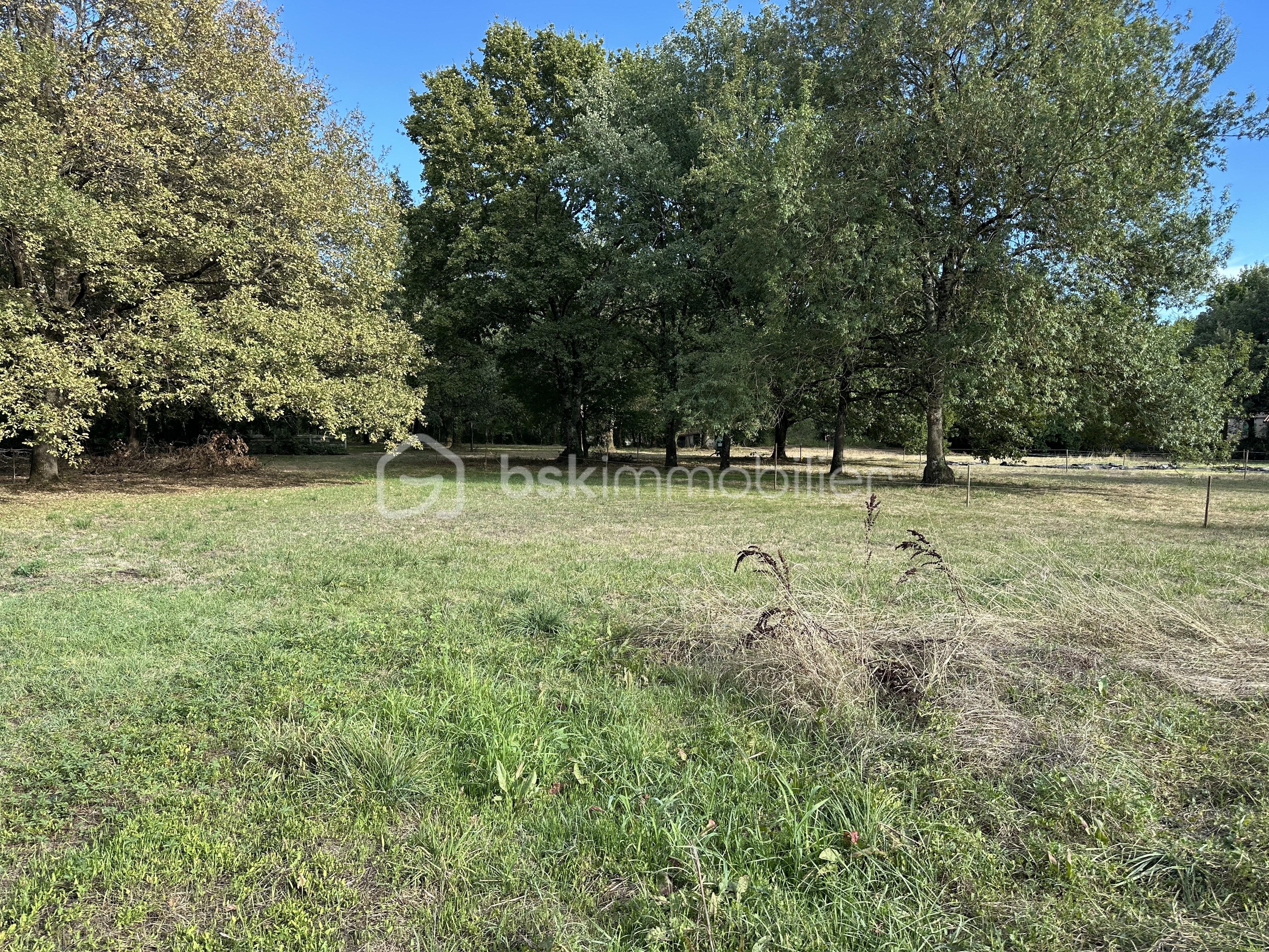 Terrain de 850 m² - IMG_8620.jpeg