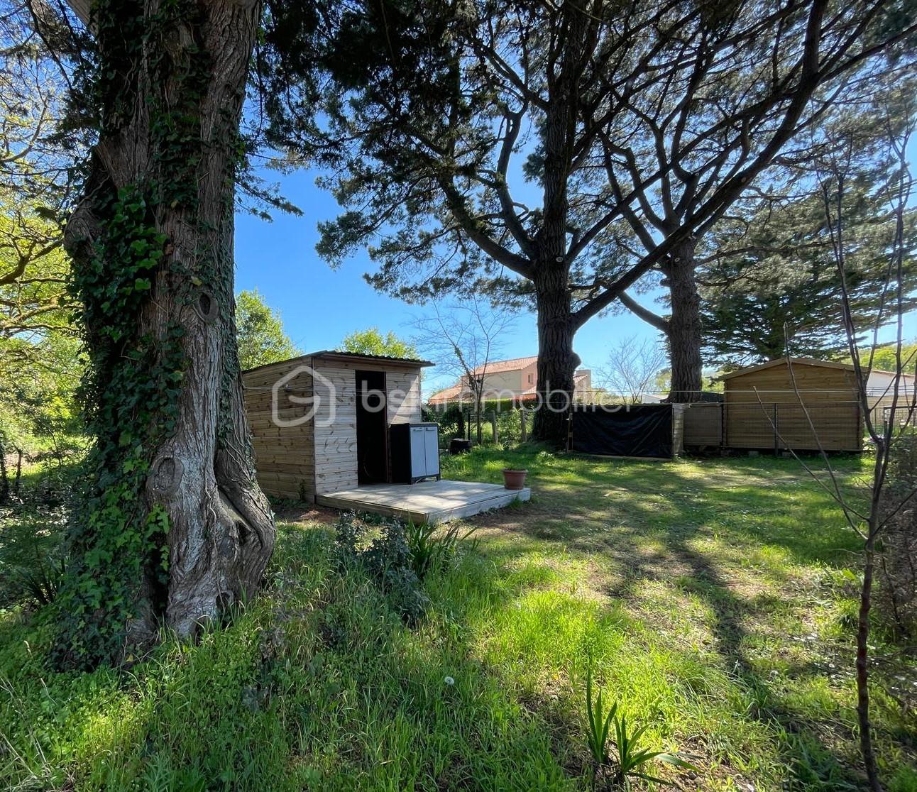 WhatsApp Image 2026-04-13 at 20.54.25 (1).jpeg