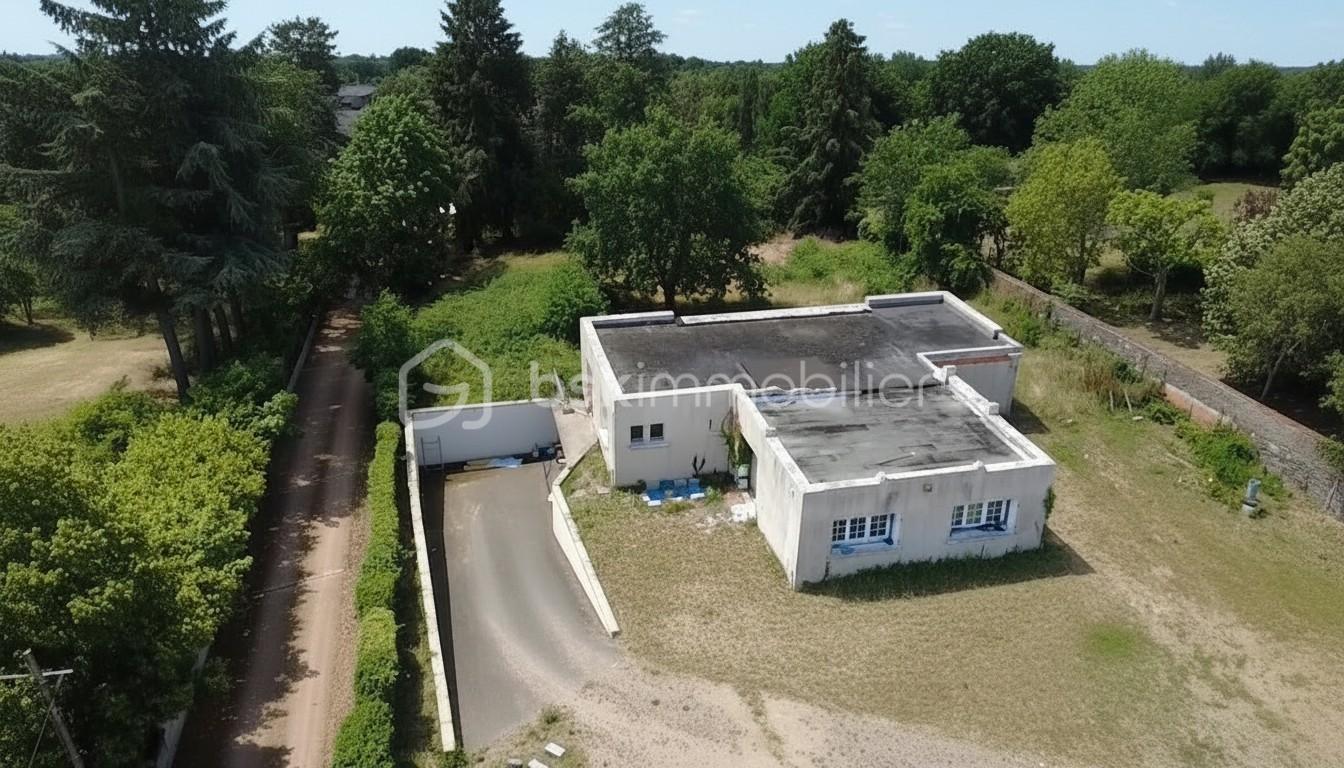 dji_fly_20260619_122042_0_1781864442558_photo_low_quality.jpg