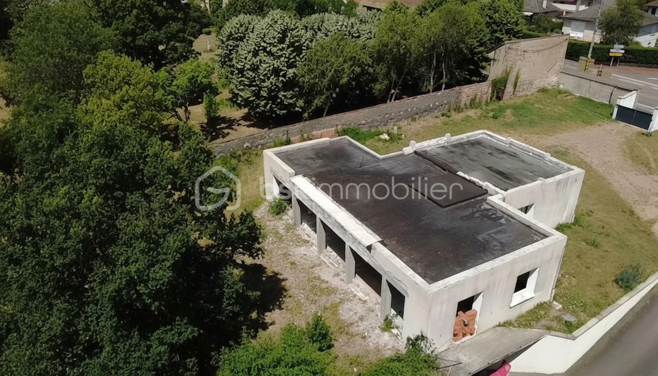 dji_fly_20260619_121943_0_1781864383662_photo_low_quality.jpg