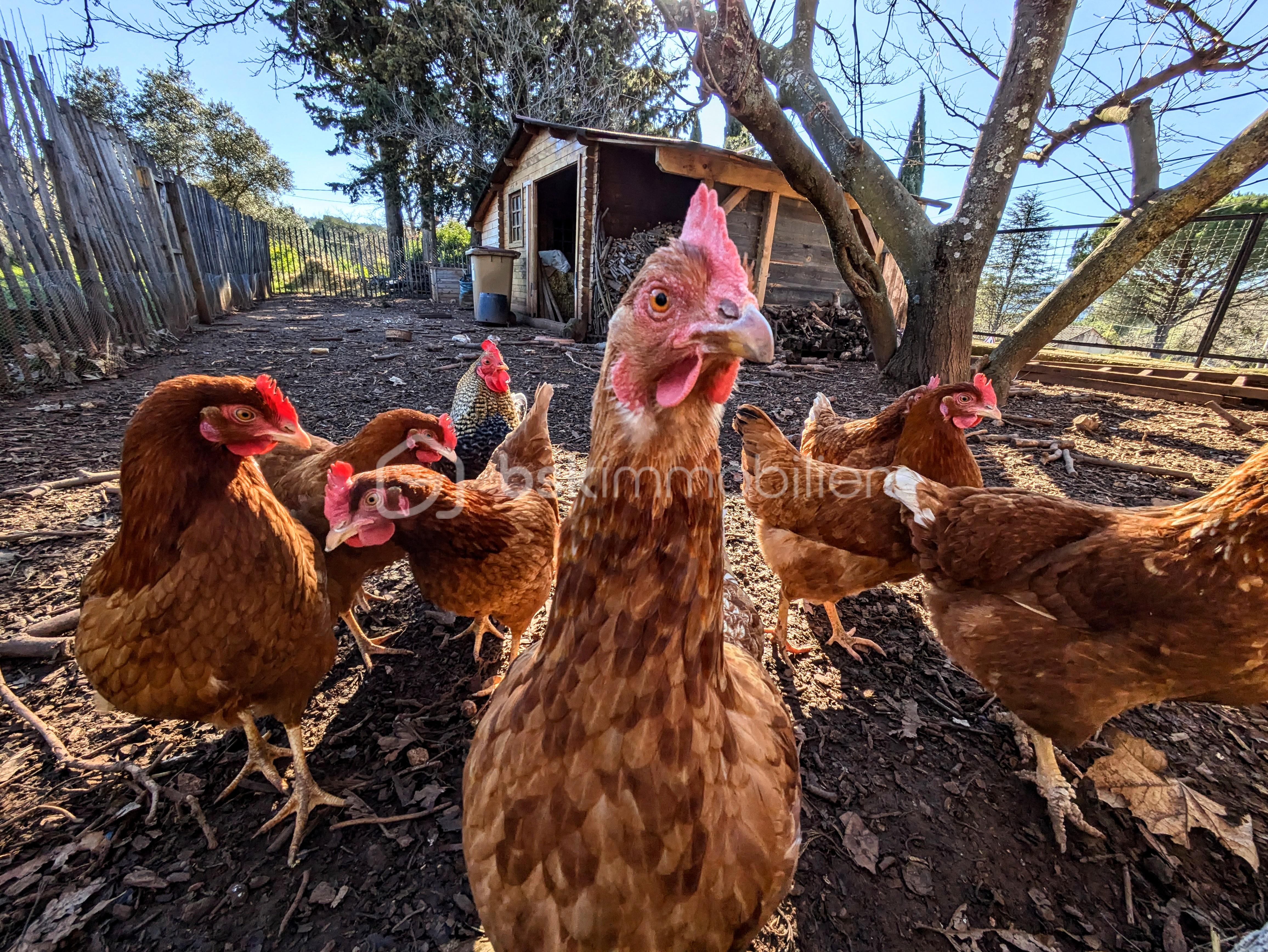 Bastide de 760 m² - PXL_20250214_093753591.RAW-01.COVER~2.jpg