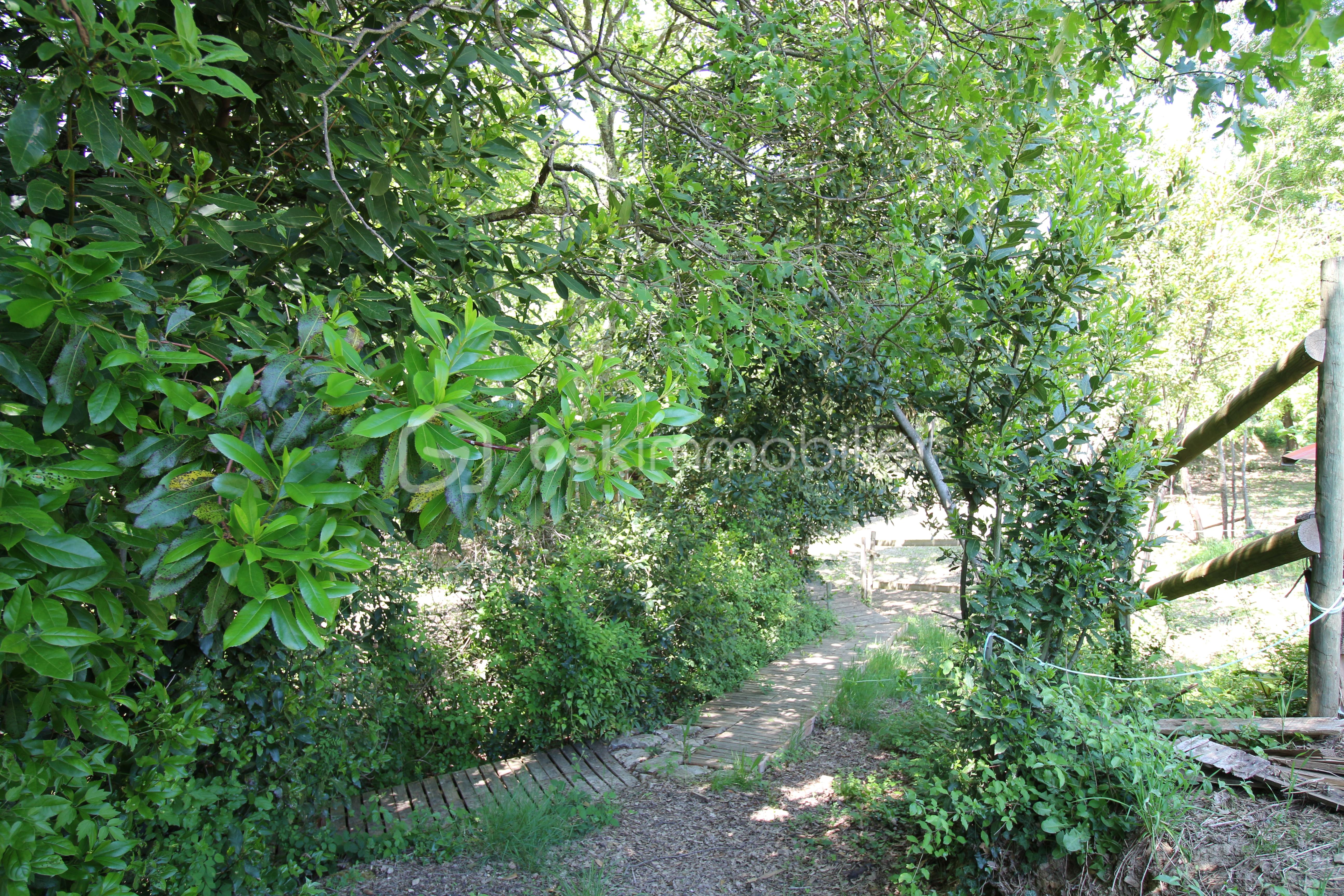 IMG_9515.JPG