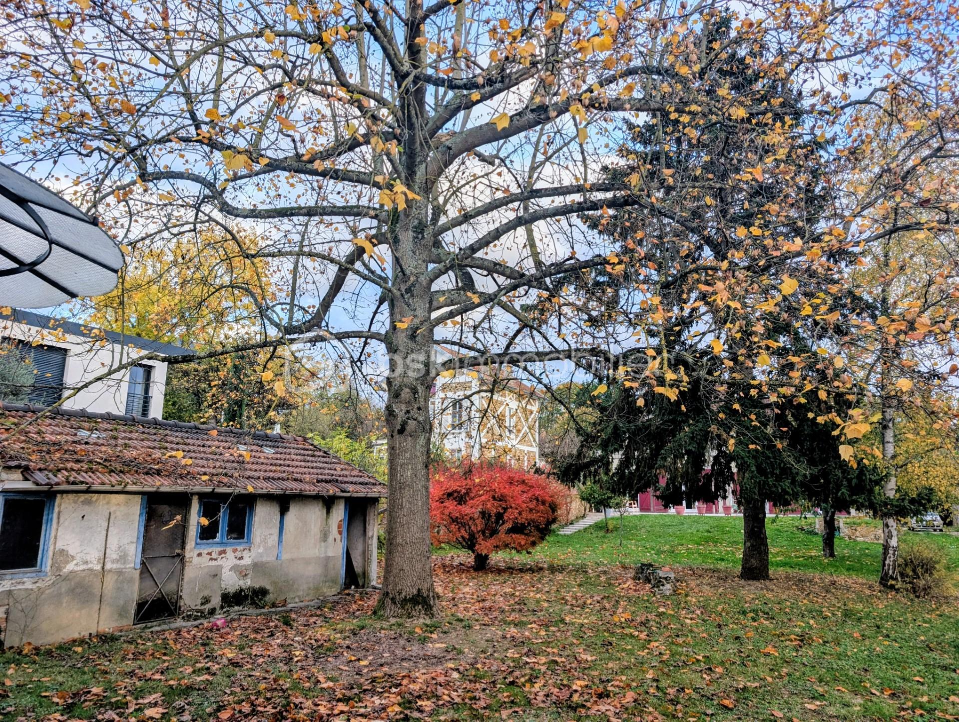 Maison de 159 m² - Jardin devant.jpg
