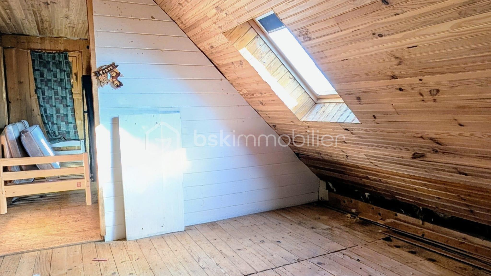 WhatsApp Image 2026-03-12 at 15.57.54.jpeg